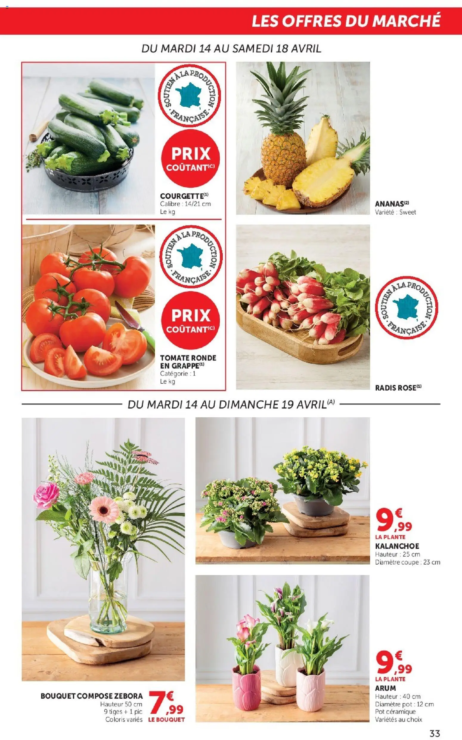 {H1} | Page: 33 | Produits: Radis