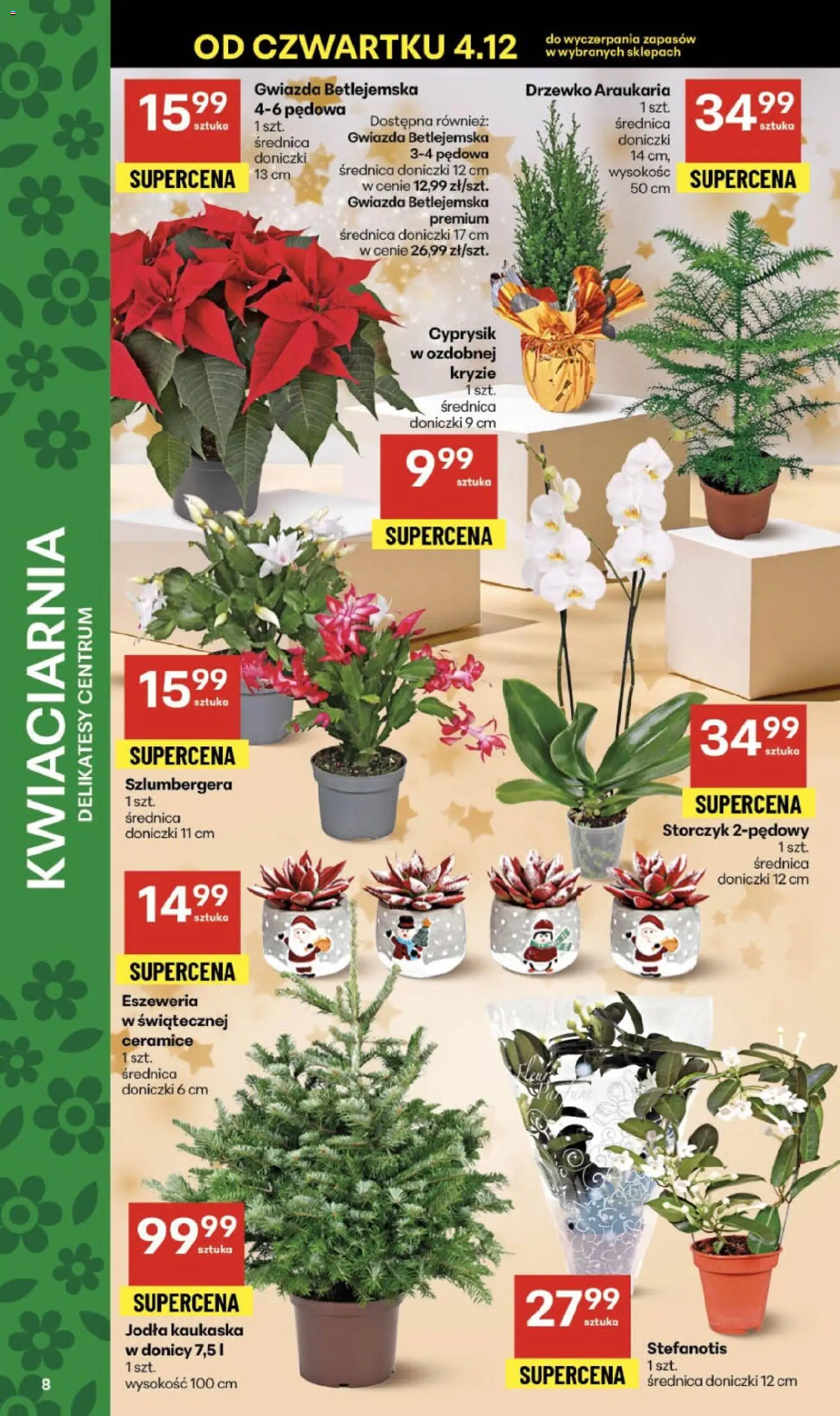 Delikatesy Centrum Gazetka - Sklepy Własne od 04.12.2025 | Strona: 8 | Produkty: Jodła kaukaska, Delikatesy, Doniczki, Storczyk