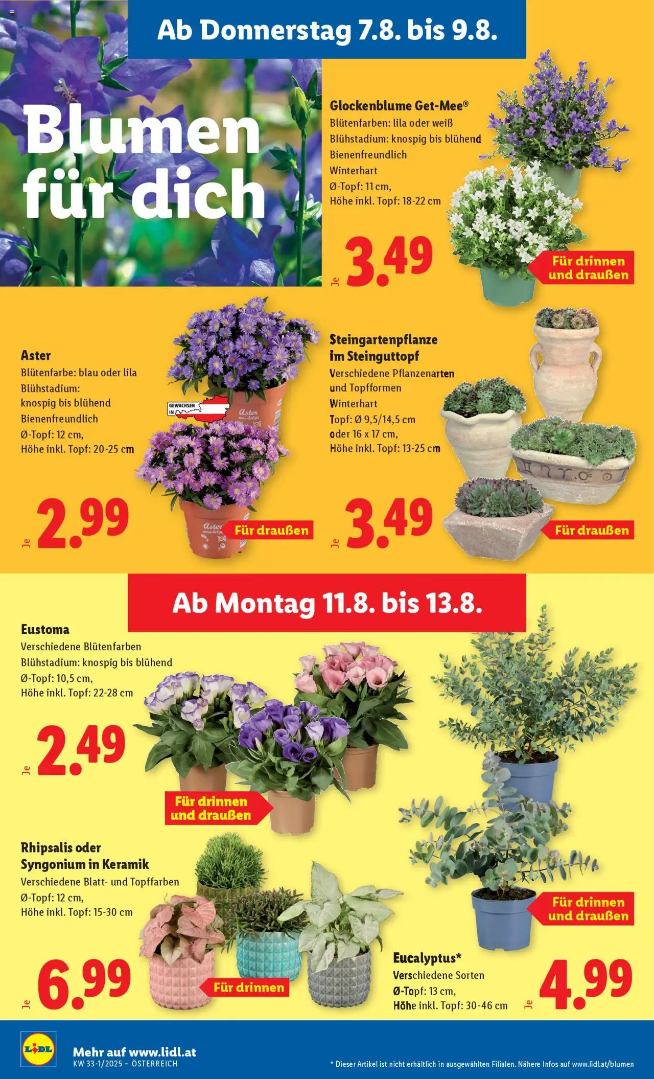 Lidl Flugblatt - Altenmarkt im Pongau, St. Johann im Pongau, Zell am See gültig ab 07.08.2025 | Seite: 26