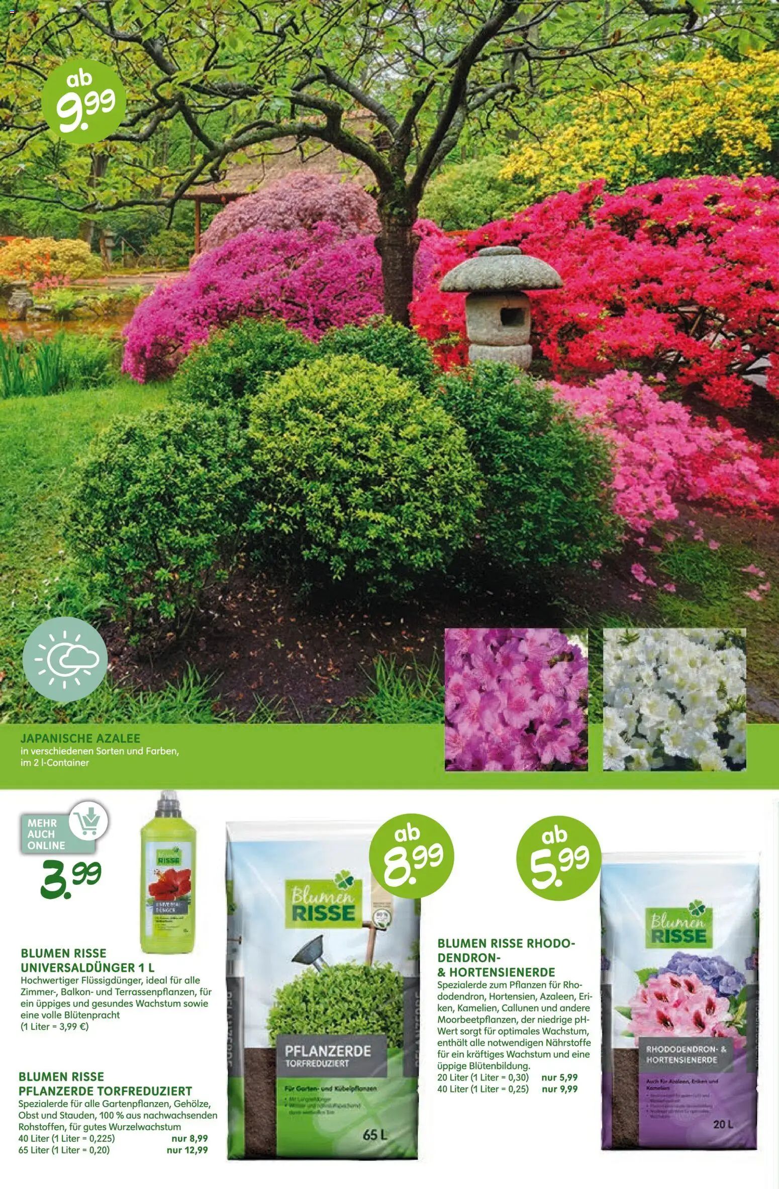 Blumen Risse Prospekt Blumenmarkt – gültig ab 16.04.2026 | Seite: 12 | Produkte: Pflanzerde, Blumen, Obst