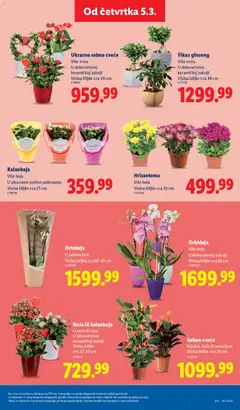 Lidl katalog - pregled Lidl kataloga - važi od 05.03.2026 | Strana: 73
