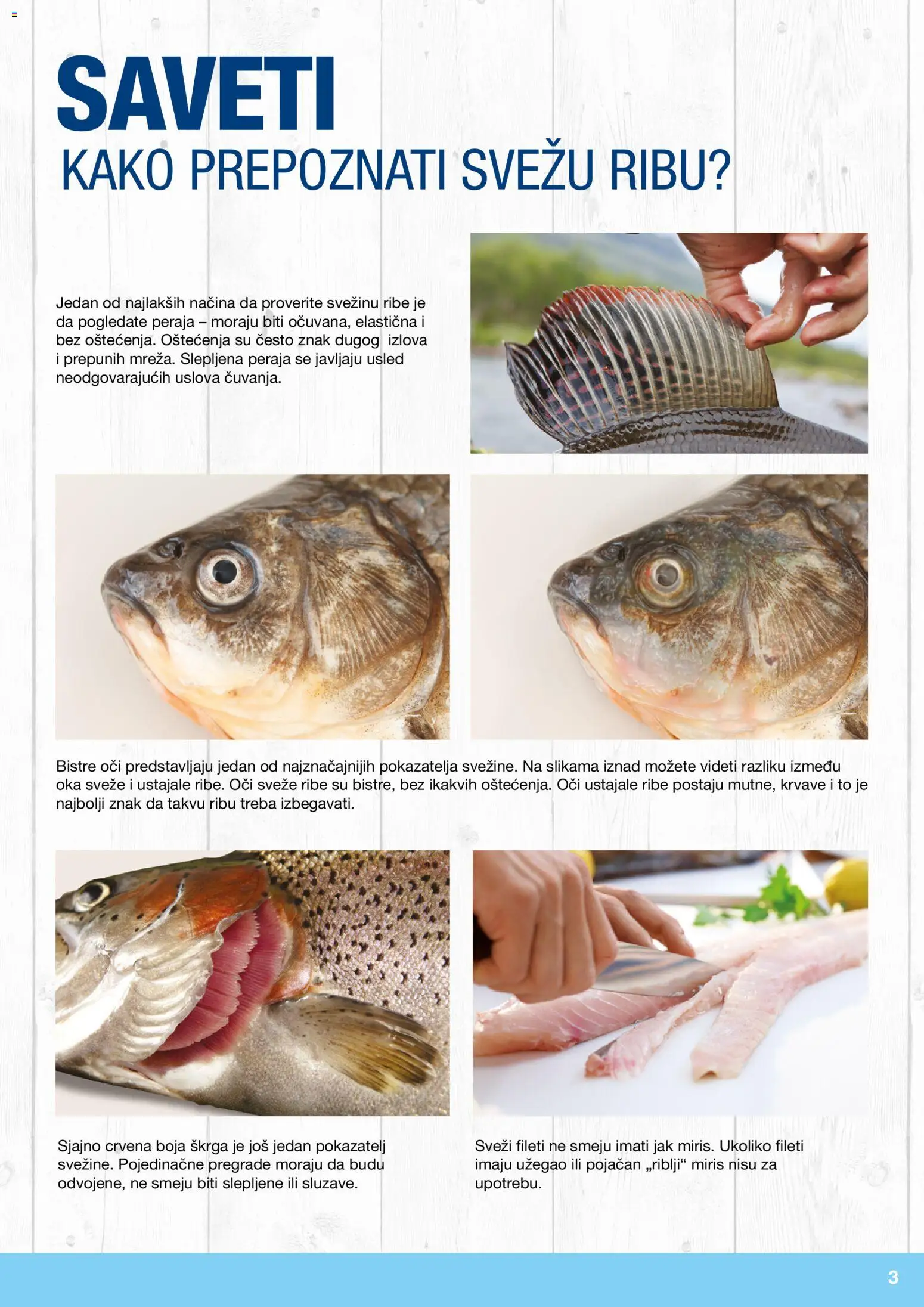 Metro katalog - važi od 10.12.2025 | Strana: 3 | Proizvode: Miris