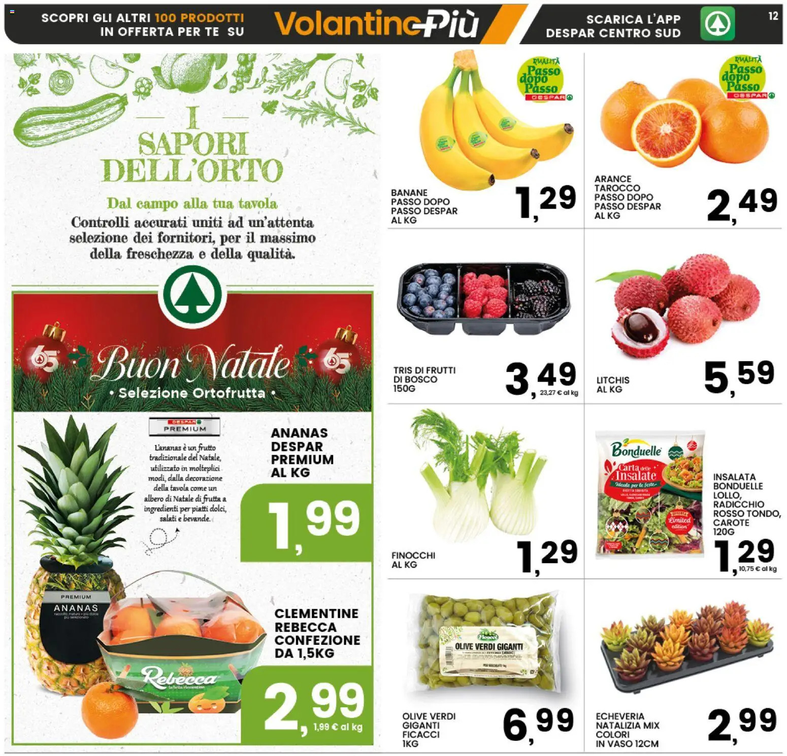 Volantino Interspar del 11.12.2025 | Pagina: 12 | Prodotti: Tè, Albero di natale, Frutta, Vaso