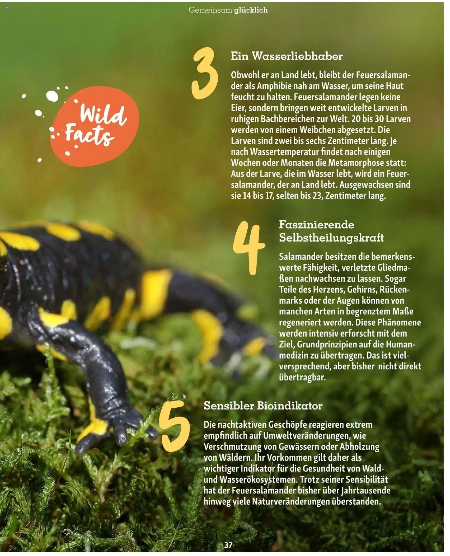 Die besten Angebote | Fressnapf Friends 02/26 ab 01.03.2026 | - Jetzt stöbern! | Austria