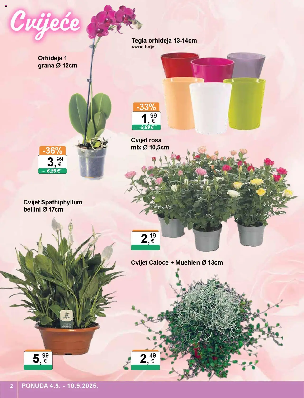 KTC katalog | vrijedi od 04.09.2025 | Stranica: 2 | Proizvodi: Orhideja
