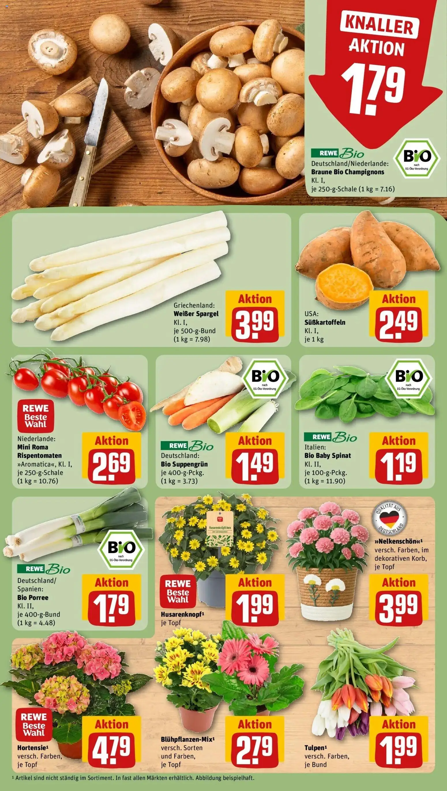 Rewe Prospekt Berlin / Lichtenberg	 – gültig ab 05.04.2026 | Seite: 7 | Produkte: Hortensie, Spargel, Champignons