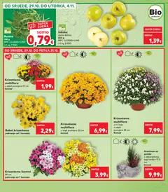 Rukola, 100 g - Pregled kataloga iz trgovine Kaufland, vrijedi od 29.10.2025 | Stranica: 13 | Proizvodi: Jabuka