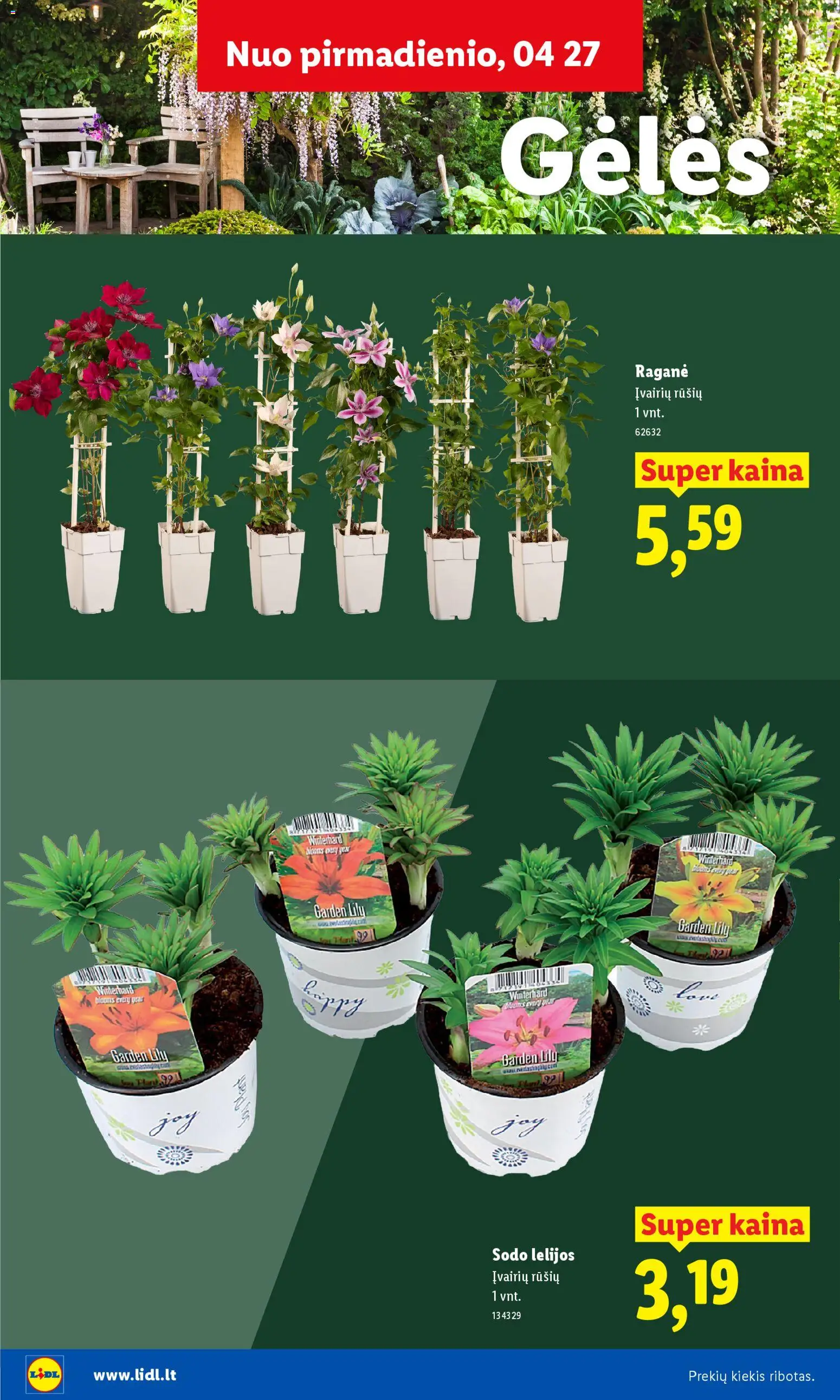 LIDL akcijos nuo 20.02.2026 | Puslapis: 16