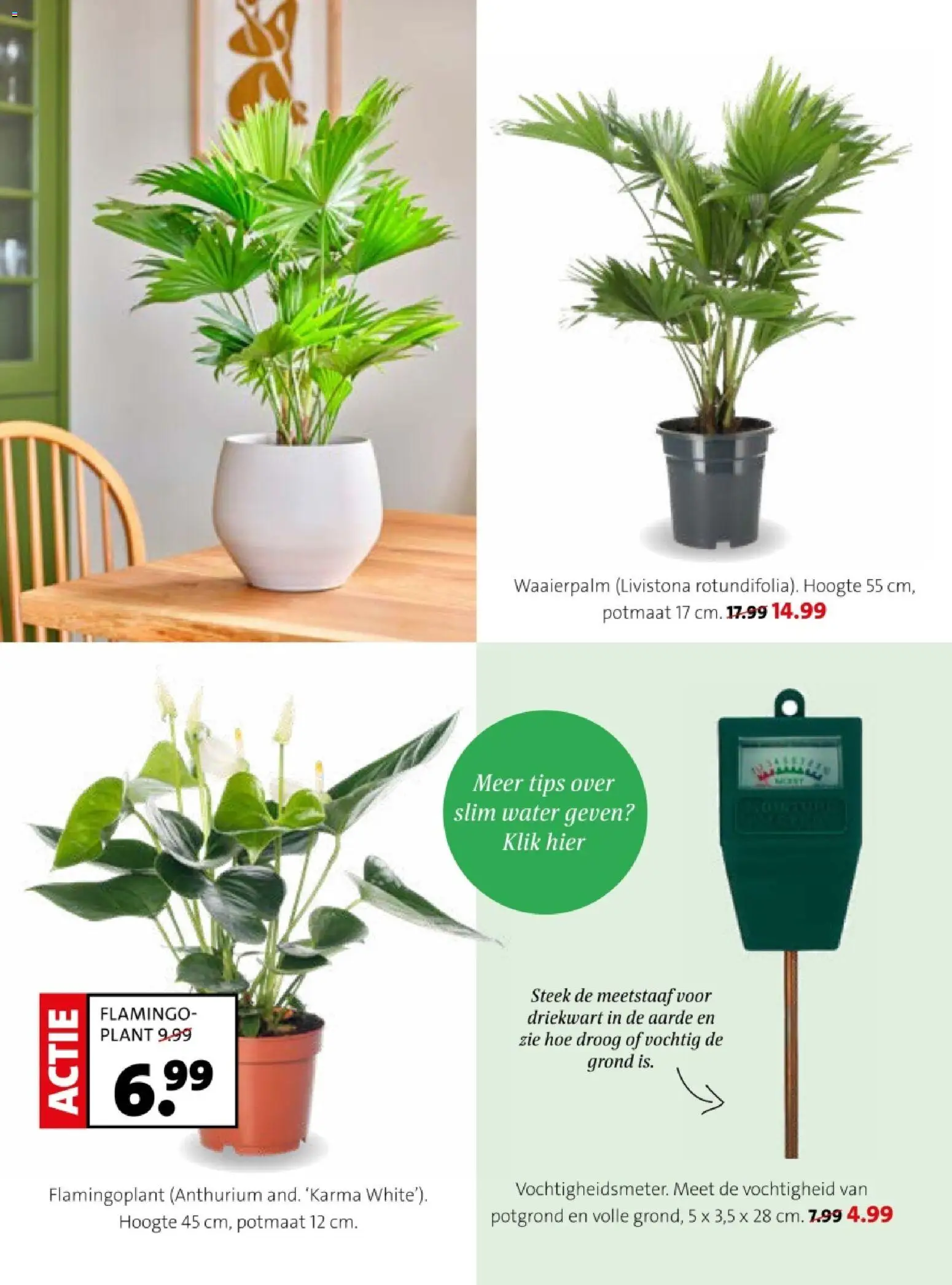 {H1} | Pagina: 25 | Producten: Festék