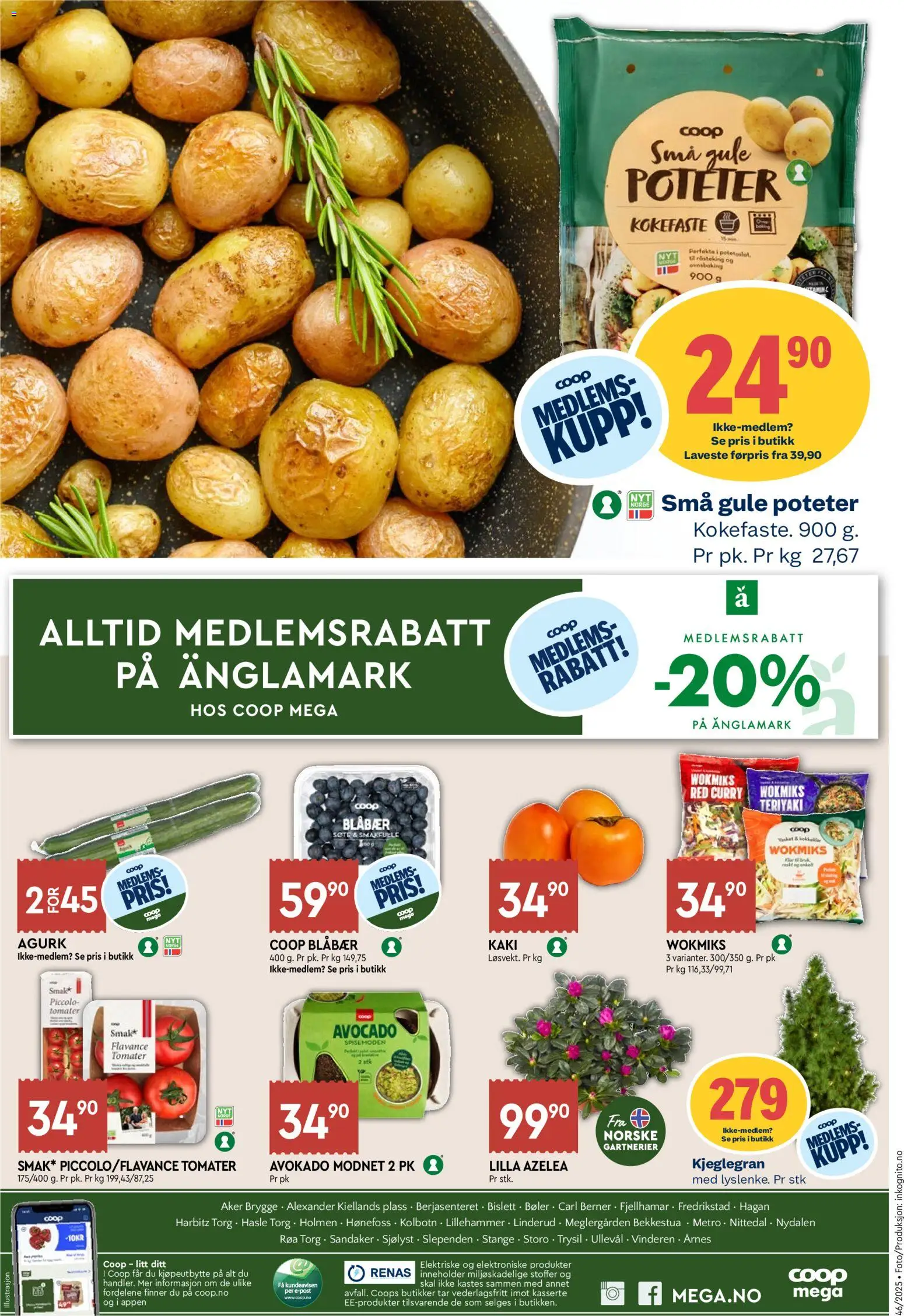 {H1} | Side: 8 | Produkter: Tomater, Agurk, Poteter, Павільйон