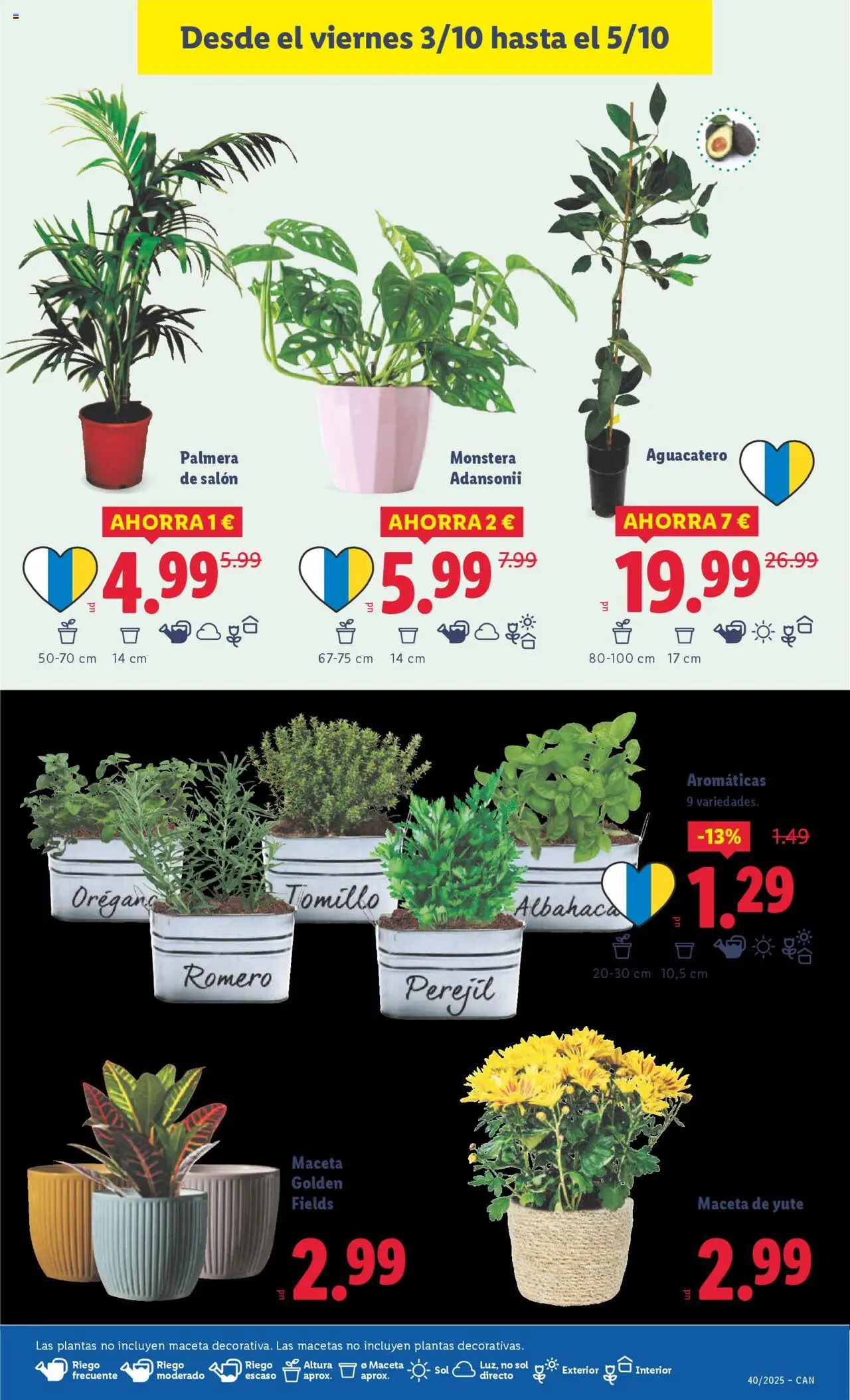 Lidl - Canarias │ válido desde el 29.09.2025 | Página: 33 | Productos: Maceta