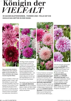 Dehner Flugblatt ab 05.03.2026 gültig | Seite: 50 | Produkte: Hülle