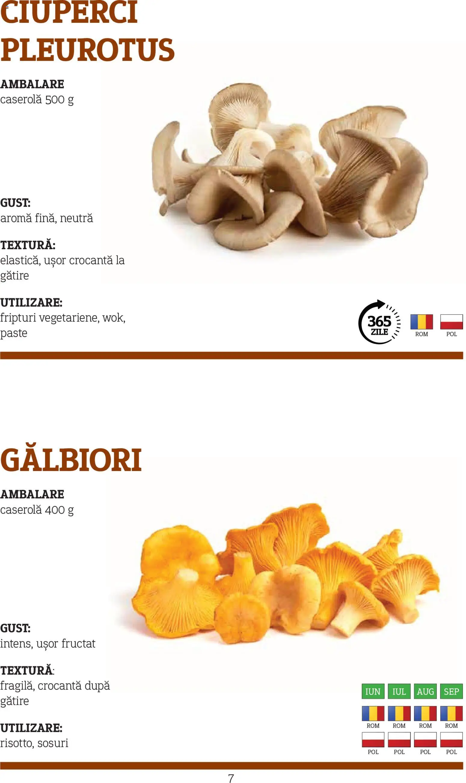 Noul catalog Metro – valabil de la 10.11.2025 | Pagină: 7 | Produse: Ciuperci, Paste