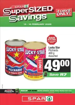 Superspar specials catalogue – valid from 09.02.2026 | Page: 21 | Products: Pilchards, Tomato sauce, Sauce, Chilli