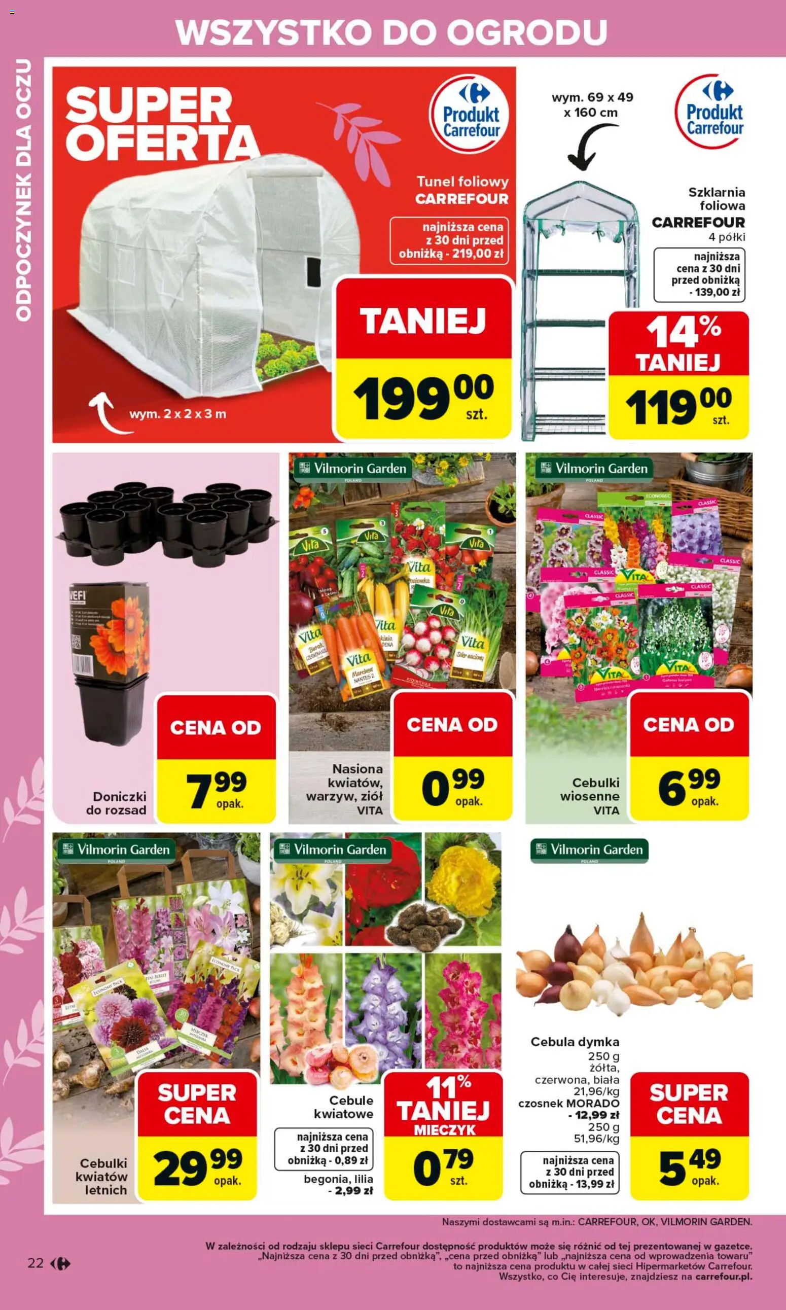 Carrefour gazetka - Ogród od 02.03.2026 | Strona: 22 | Produkty: Czosnek, Burak, Nasiona, Doniczki