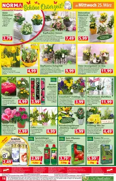 Norma Flugblatt ab 23.03.2026 gültig | Seite: 16