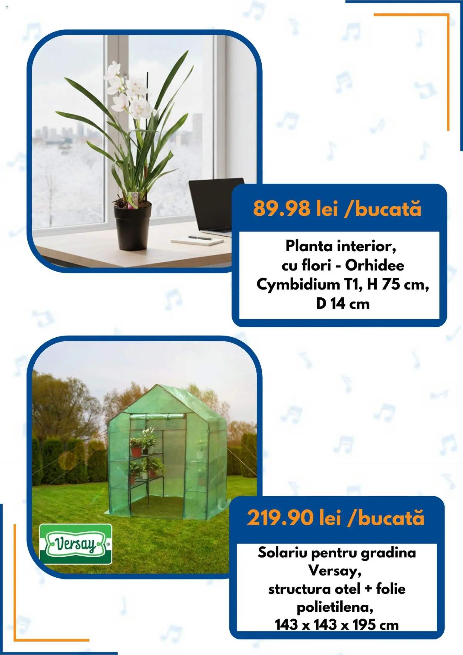 Noul catalog Dedeman – valabil de la 01.03.2026 | Pagină: 3 | Produse: Orhidee