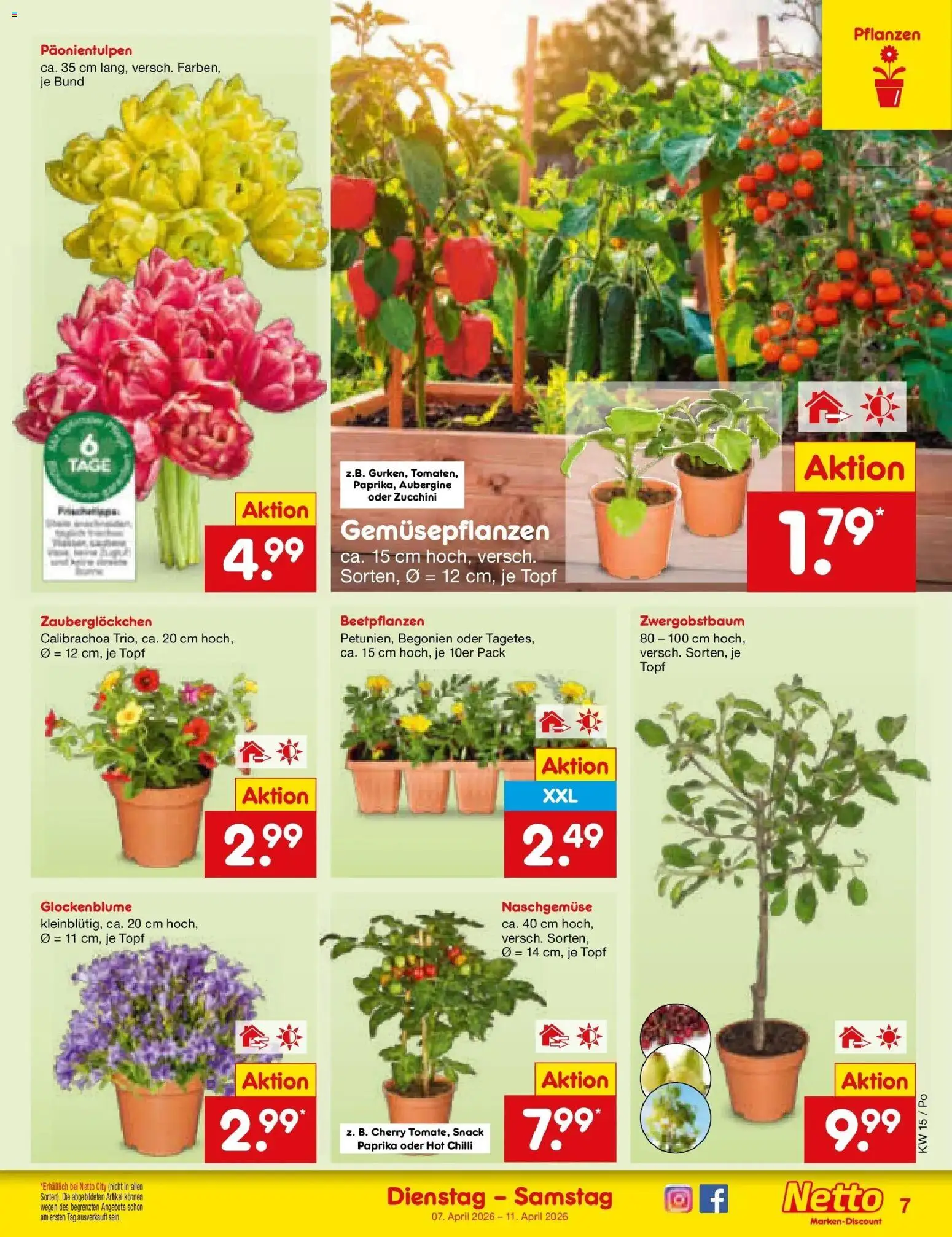 Netto Marken-Discount Prospekt Selb	 – gültig ab 05.04.2026 | Seite: 9 | Produkte: Paprika, Aubergine, Zucchini