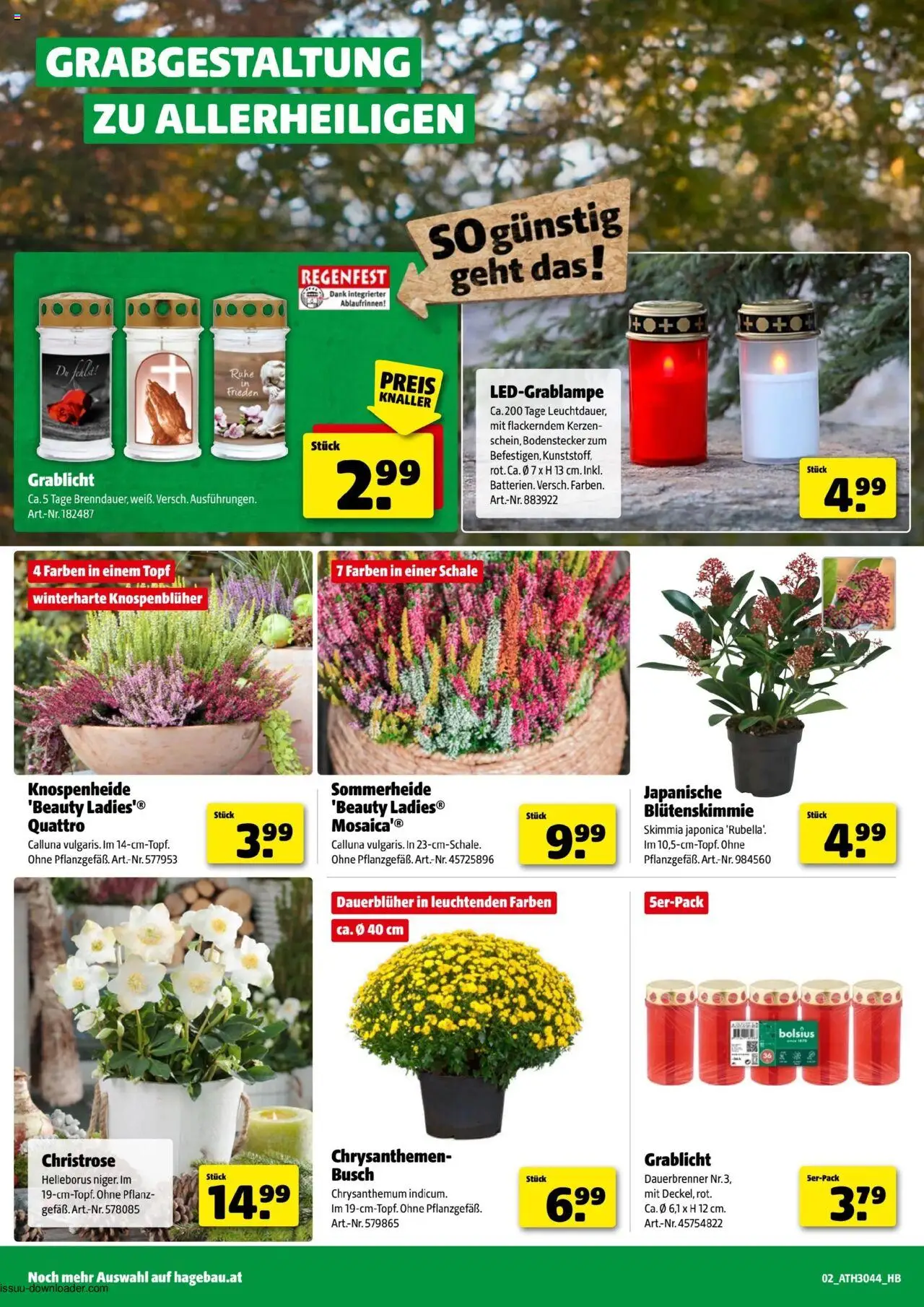 Hagebau Flugblatt gültig ab 21.10.2025 | Seite: 2