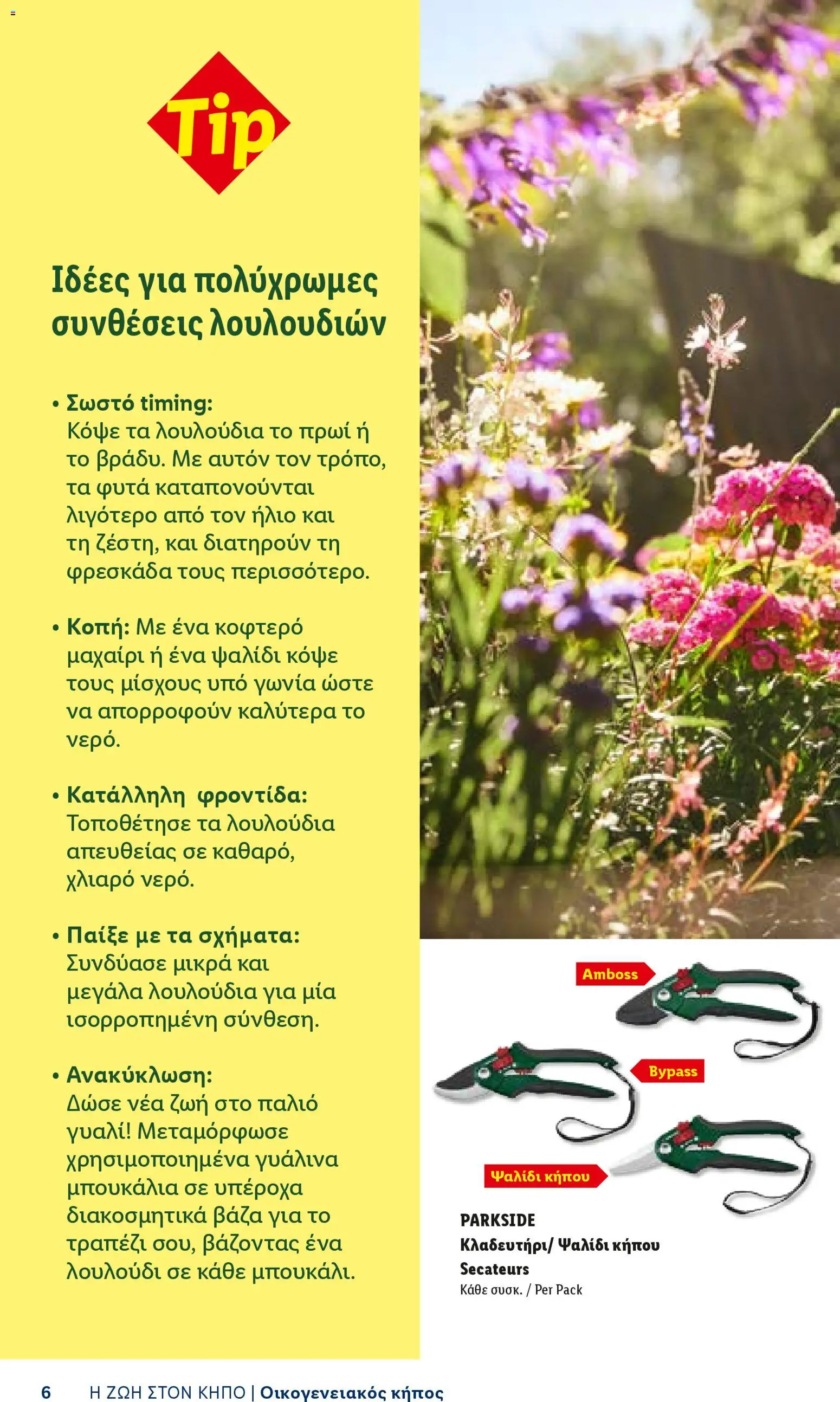 Lidl φυλλαδιο - Garden  – σε ισχύ από 16.04.2026 | Σελίδα: 6
