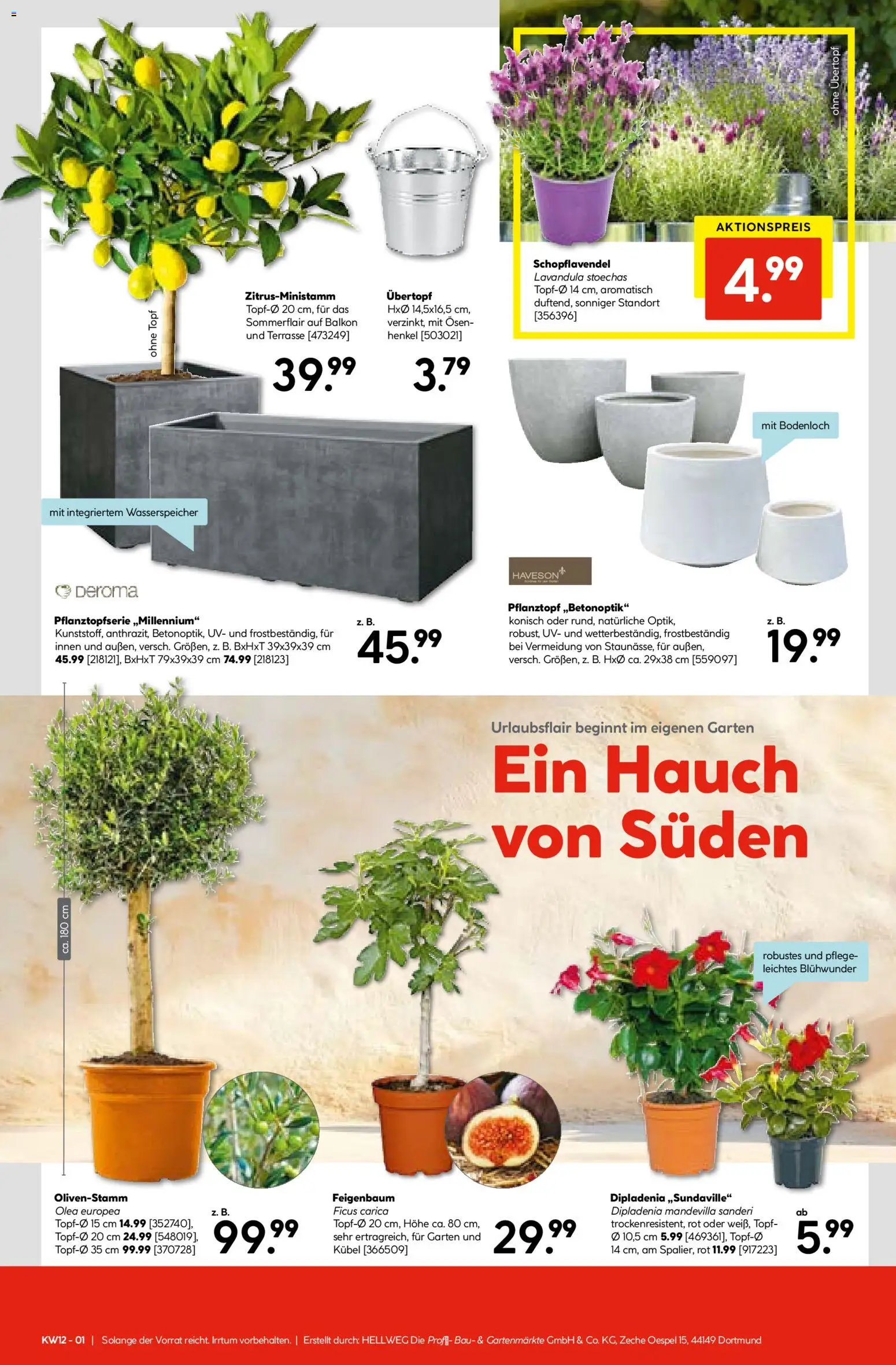 Hellweg Prospekt 	 – gültig ab 16.03.2026 | Seite: 17