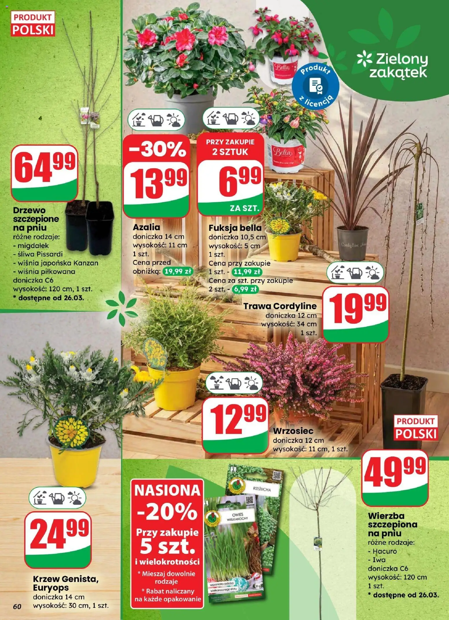 Dino gazetka od 25.03.2026 | Strona: 60 | Produkty: Azalia, Rzeżucha, Nasiona, Doniczka