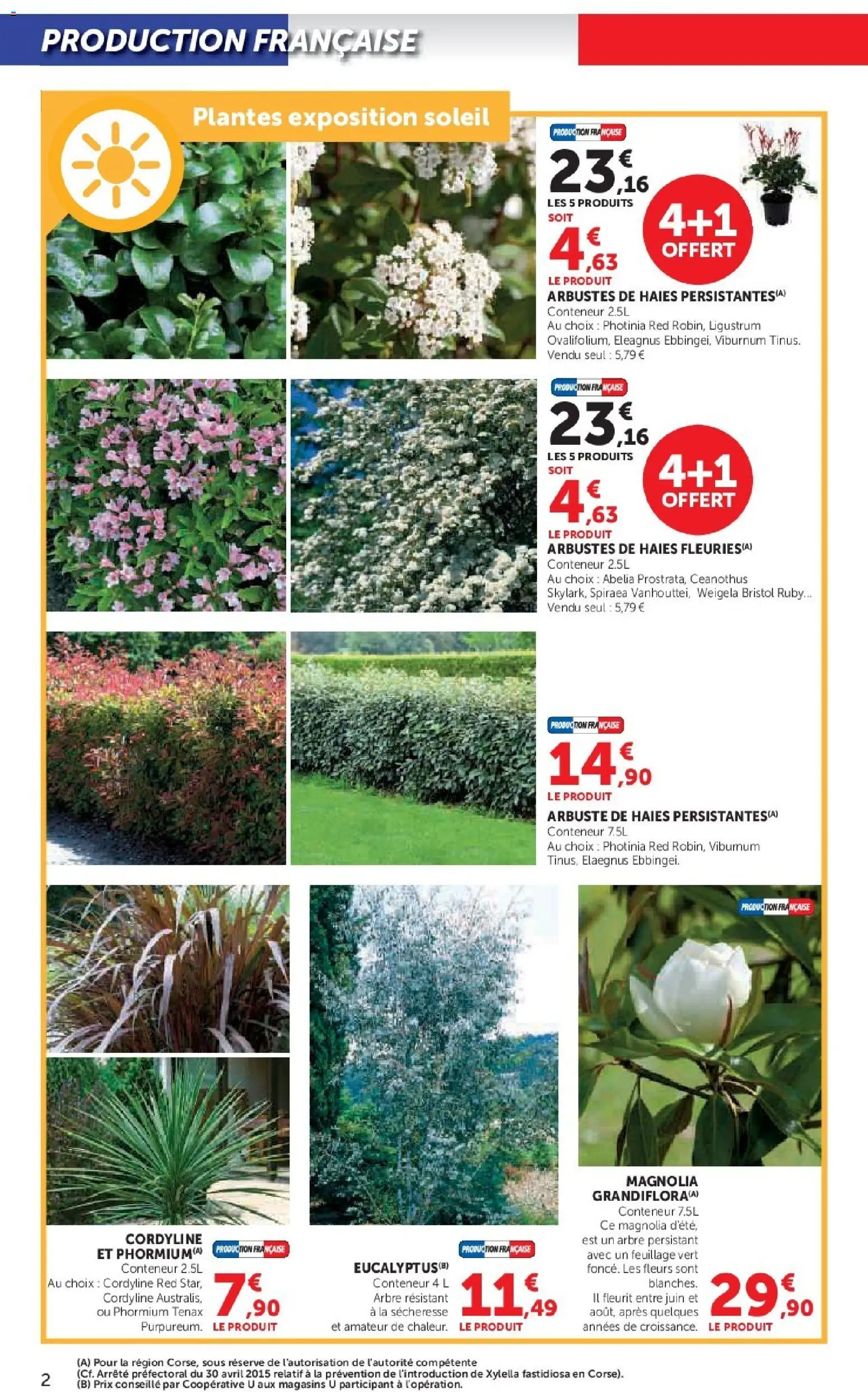 {H1} | Page: 2 | Produits: Plantes