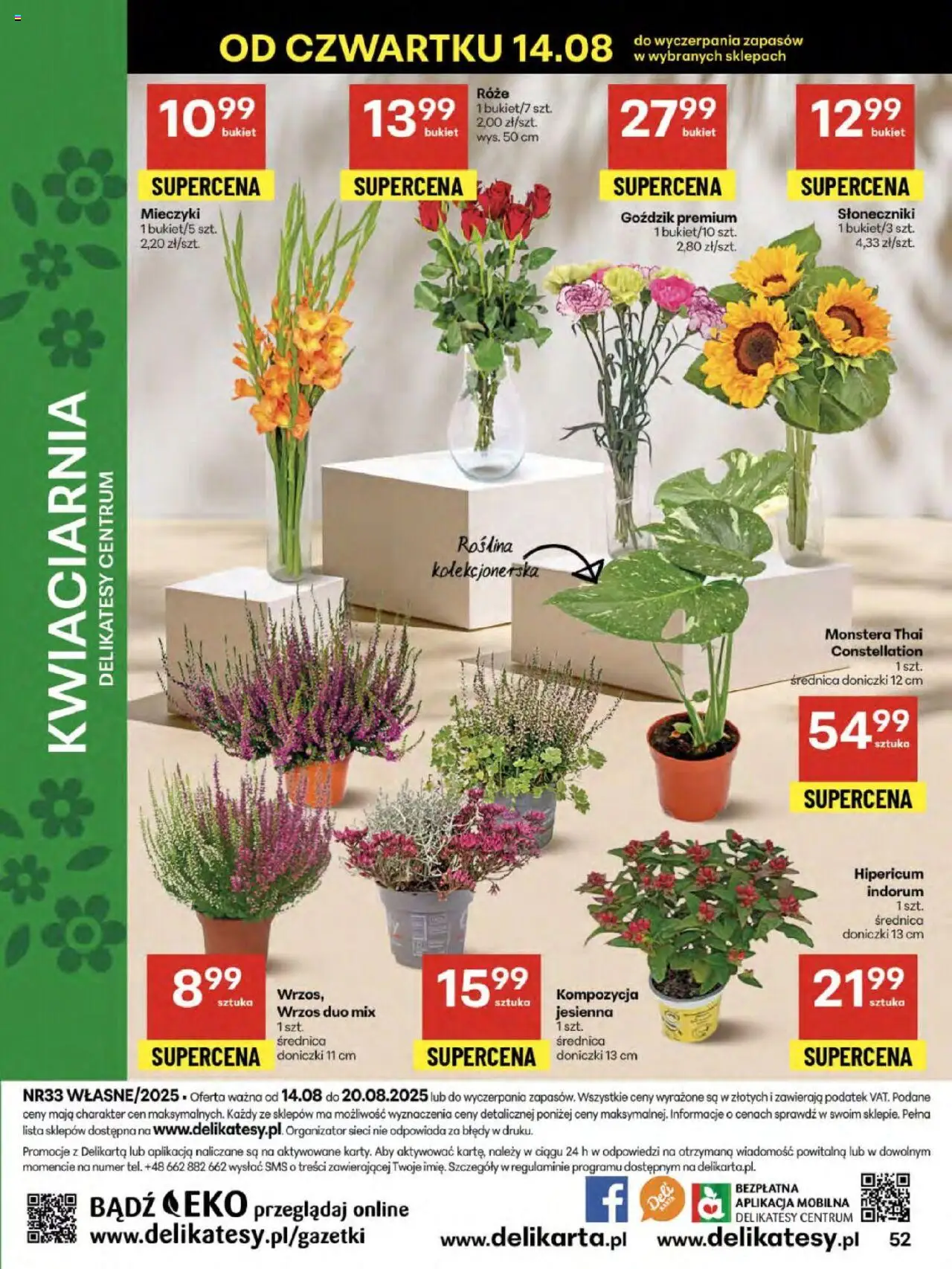 Delikatesy Centrum Gazetka - Sklepy Własne od 14.08.2025 | Strona: 52 | Produkty: Wrzos, Goździk, Delikatesy, Doniczki