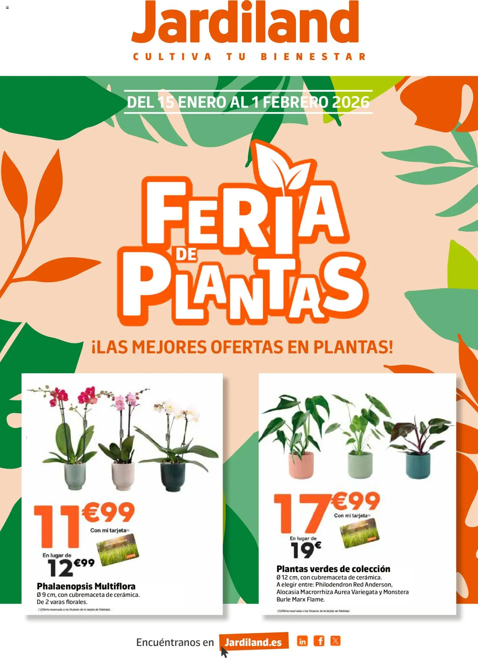 Jardiland folleto │ válido desde el 15.01.2026 | Página: 1