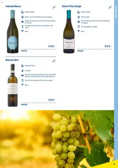  | Pagina: 45 | Producten: Wijn, Appels, Bloemen, Abrikoos