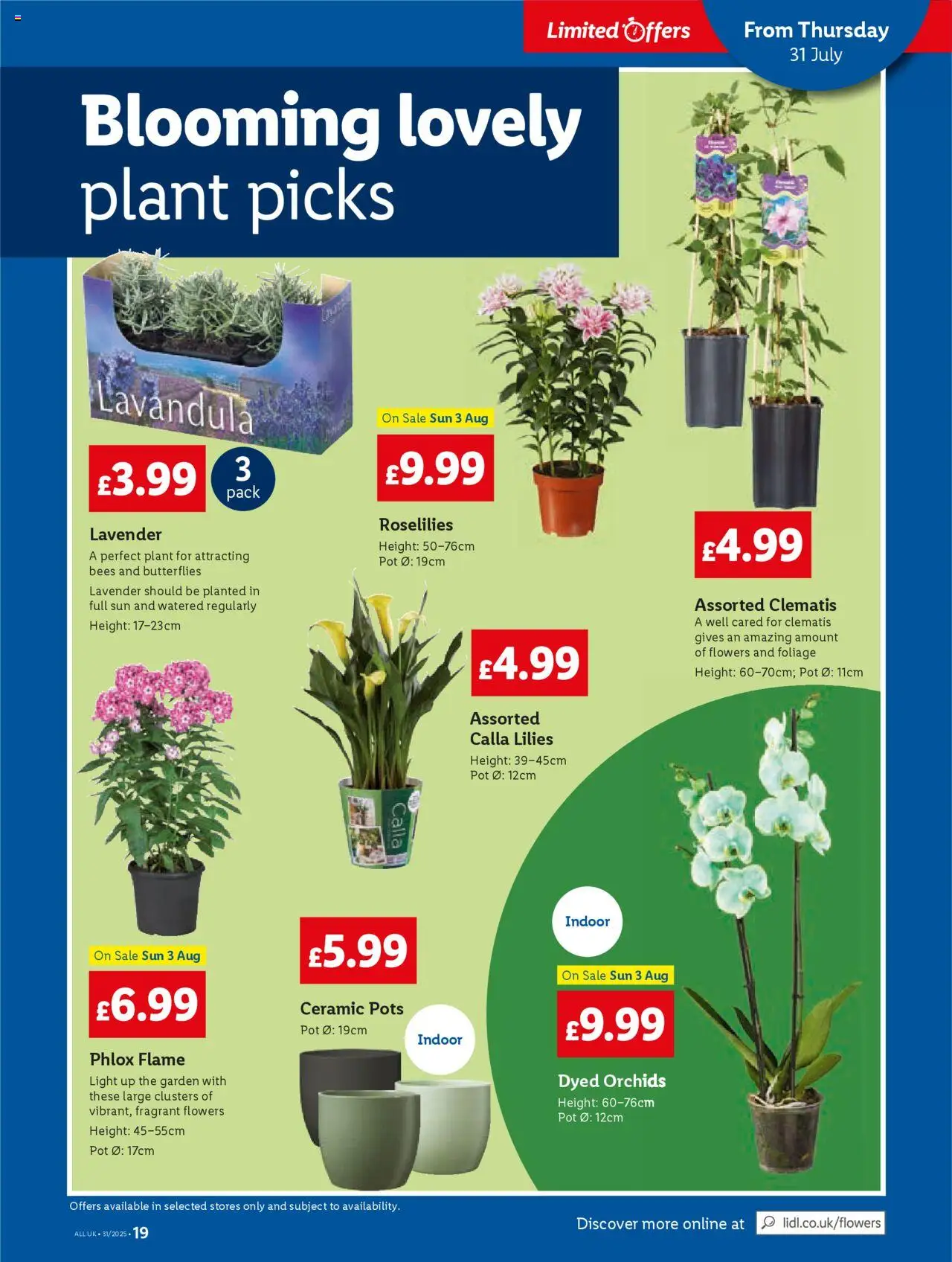  | Page: 19 | Products: Pot, Lavender, Clematis
