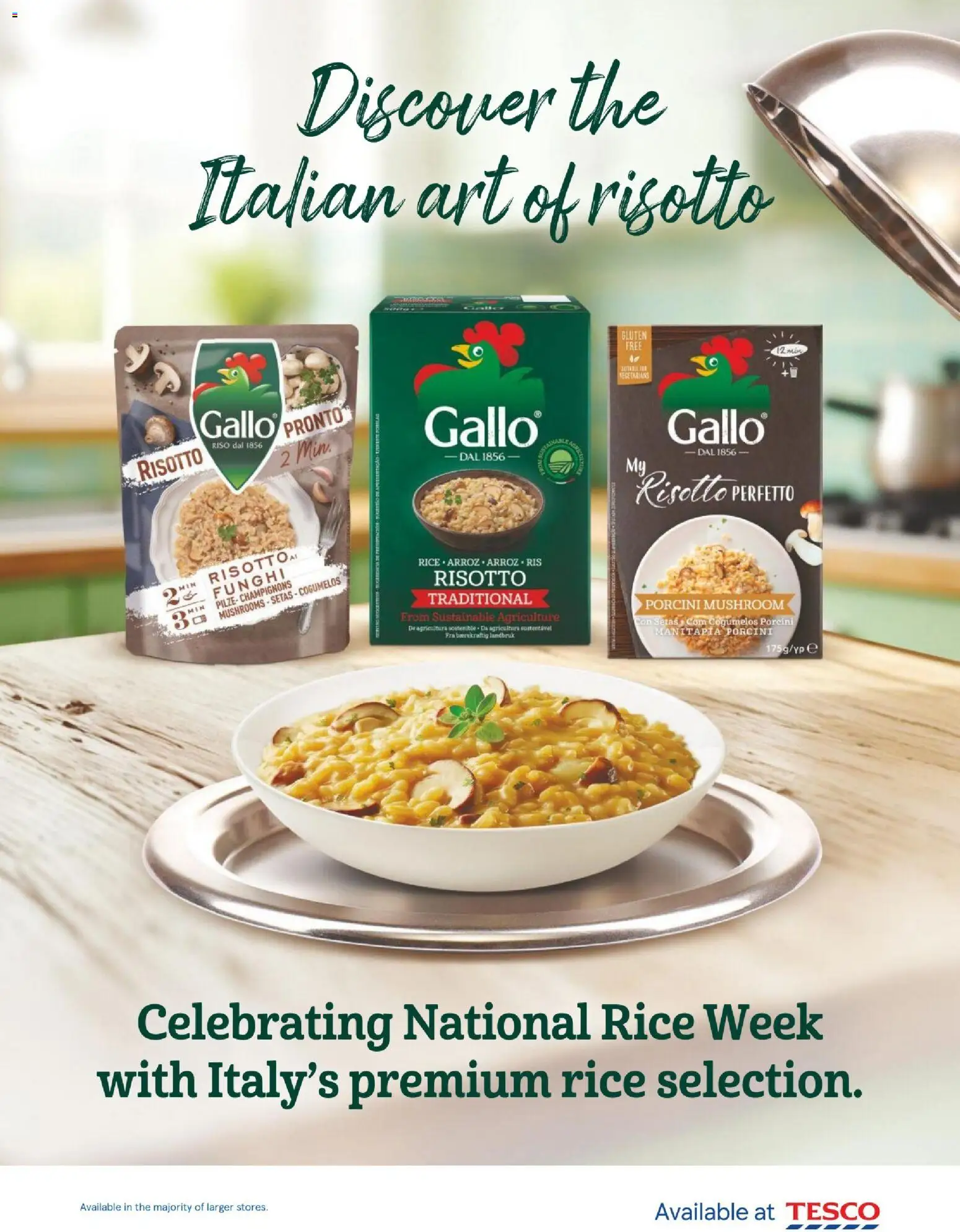 {H1} | Page: 15 | Products: Rice, Mushrooms