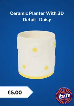 Preview of B&M - Offers valid from 25.02.2026 | Page: 3 | Products: Planter