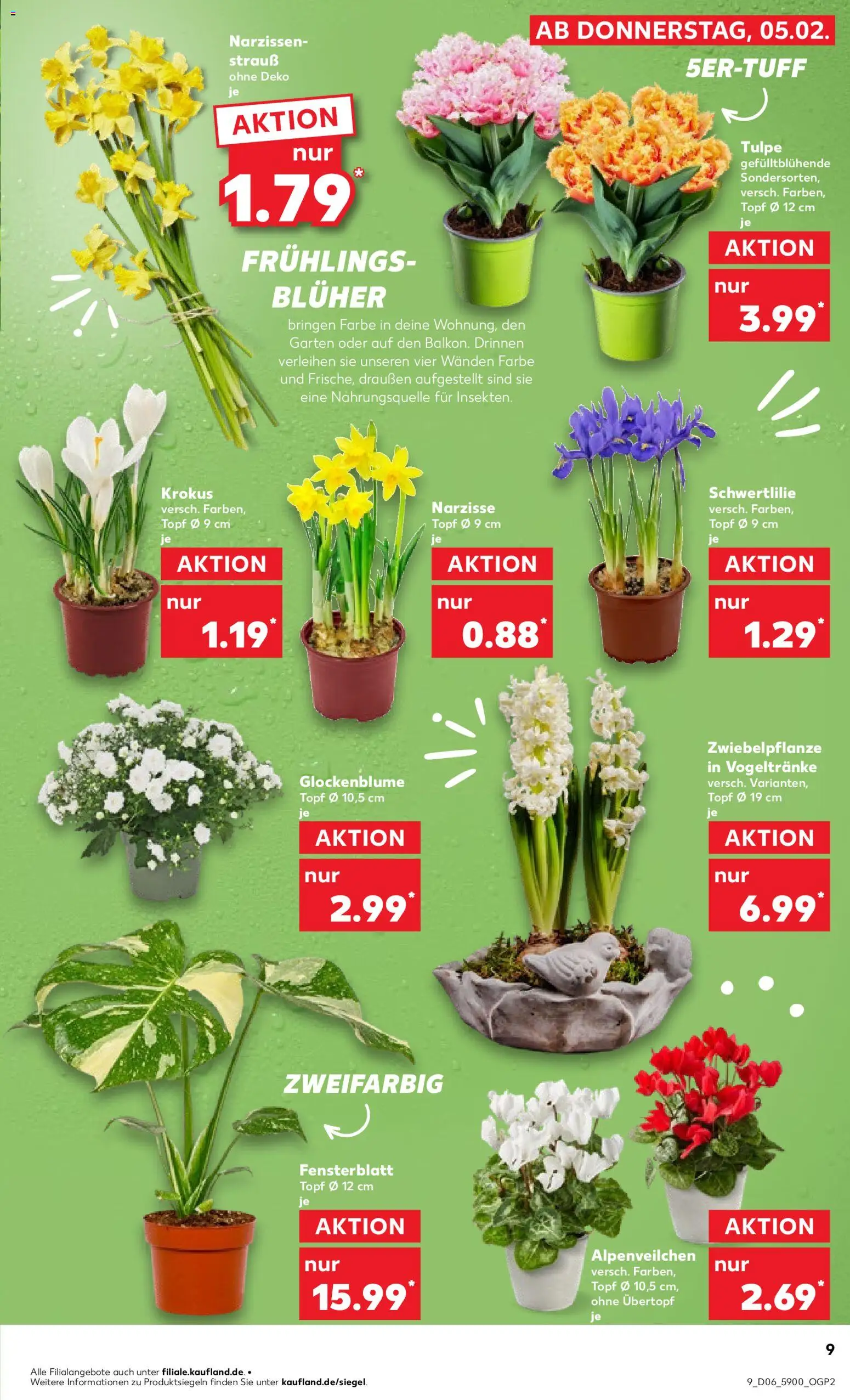 Kaufland prospekt Berlin	 – gültig ab 08.02.2026 | Seite: 9