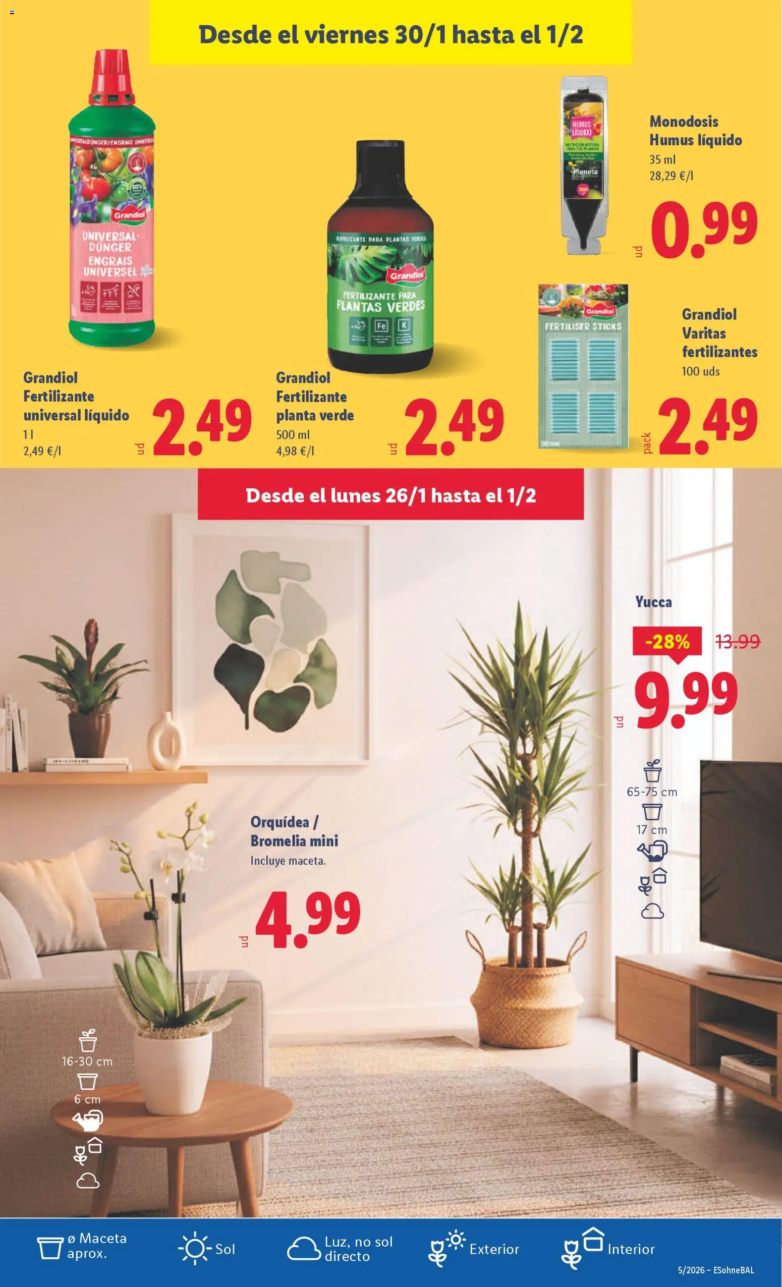 Lidl folleto │ válido desde el 26.01.2026 | Página: 41 | Productos: Maceta