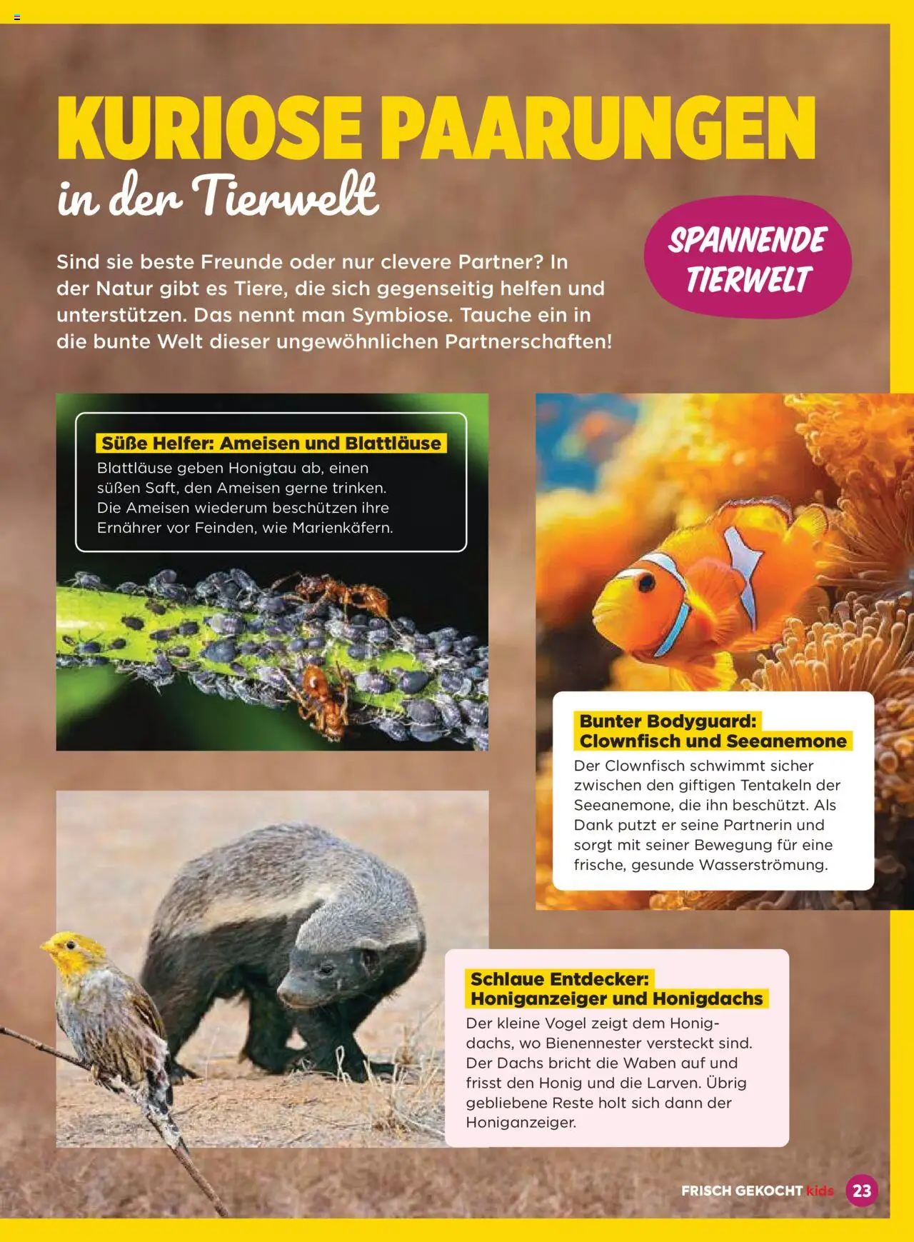Billa Frisch Gekocht Kids 2025 gültig ab 01.09.2025 | Seite: 23