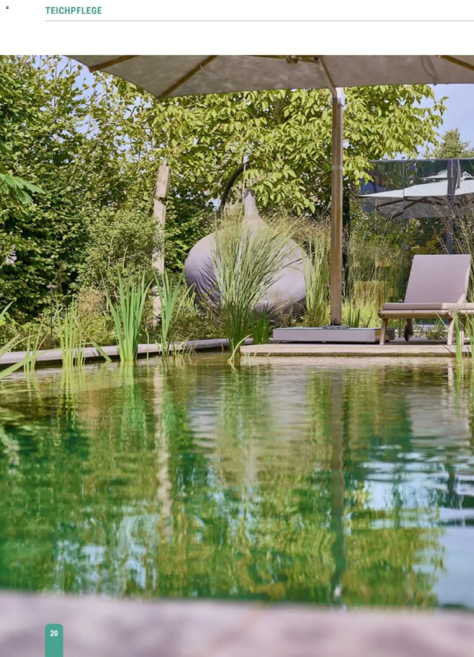 zookauf Themenkatalog Teich – gültig ab 23.03.2026 | Seite: 20