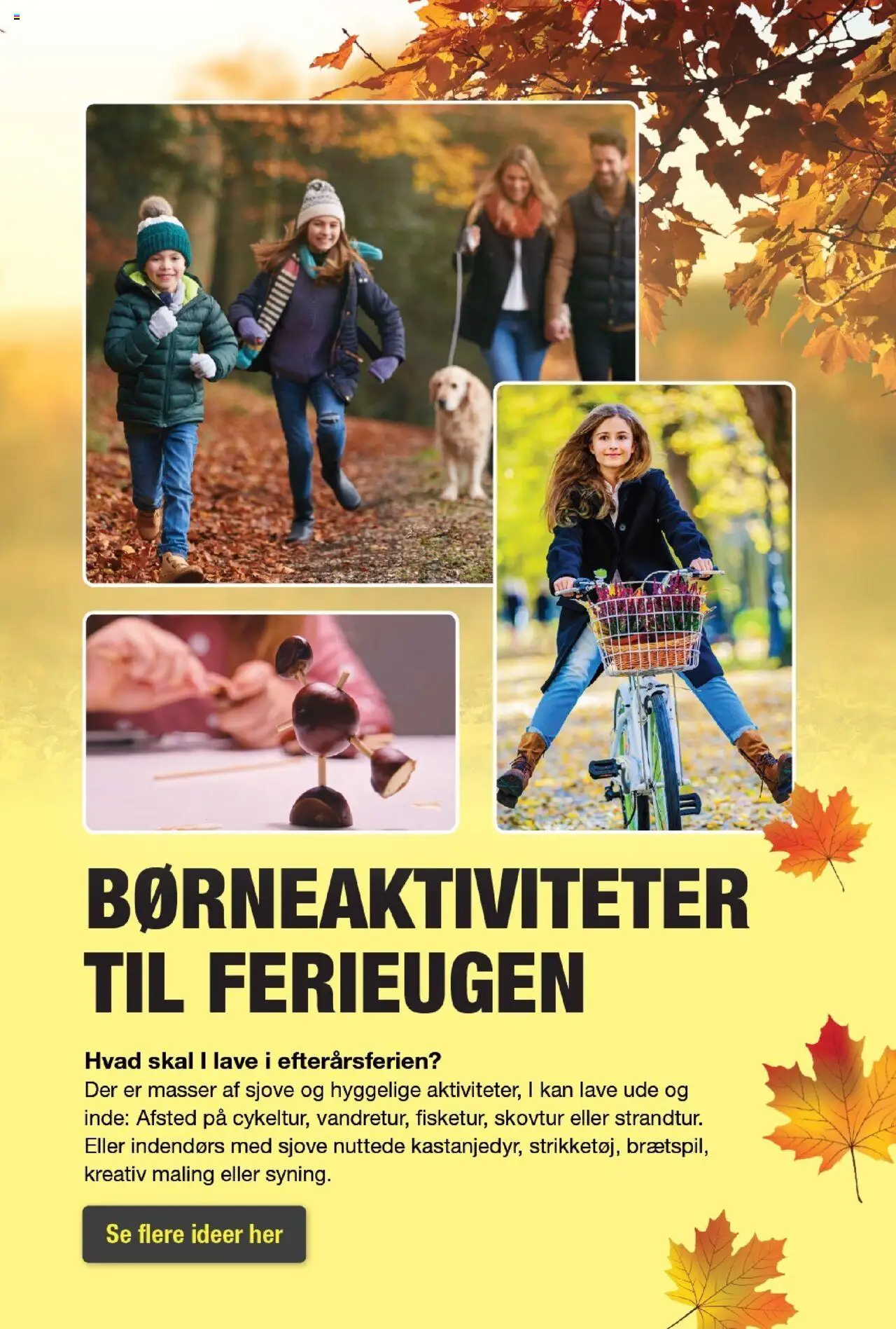 Harald Nyborg tilbudsavis – gyldig fra 09.10.2025 | Side: 15 | Produkter: Maling
