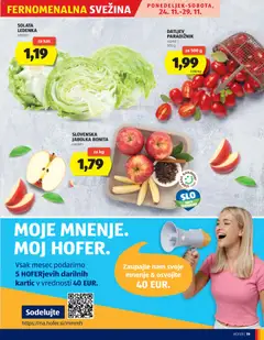 Hofer katalog akcije – veljaven od 20.11.2025 | Stran: 19