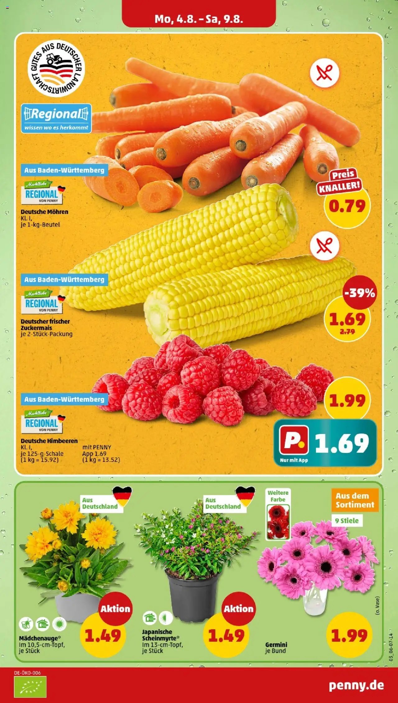 Penny - Baden-Württemberg - gültig ab dem 04.08.2025 | Seite: 3 | Produkte: Himbeeren, Vase, Mohren