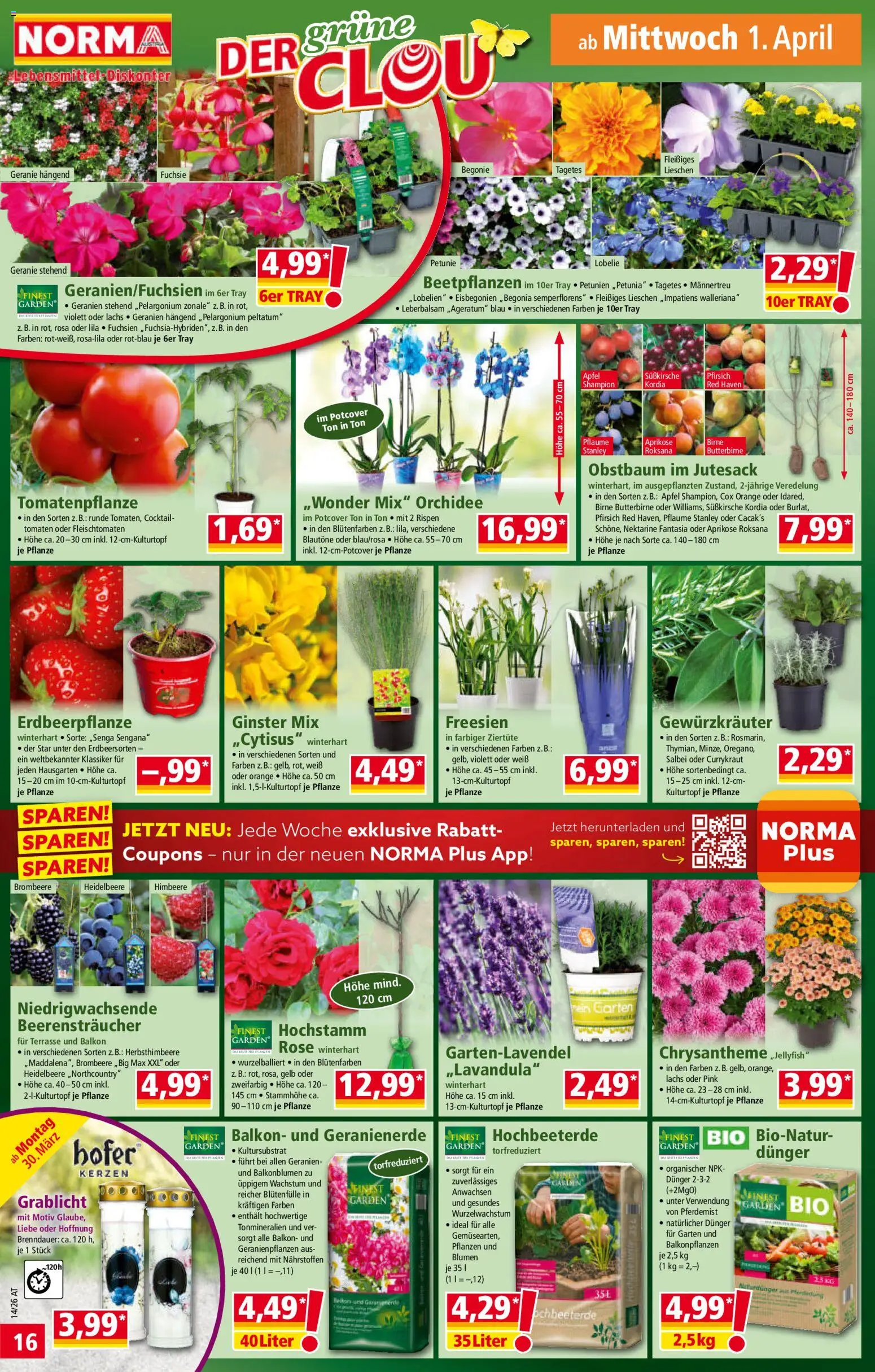 Norma Flugblatt gültig ab 30.03.2026 | Seite: 16 | Produkte: Pfirsich, Himbeere, Äpfel, Tomaten
