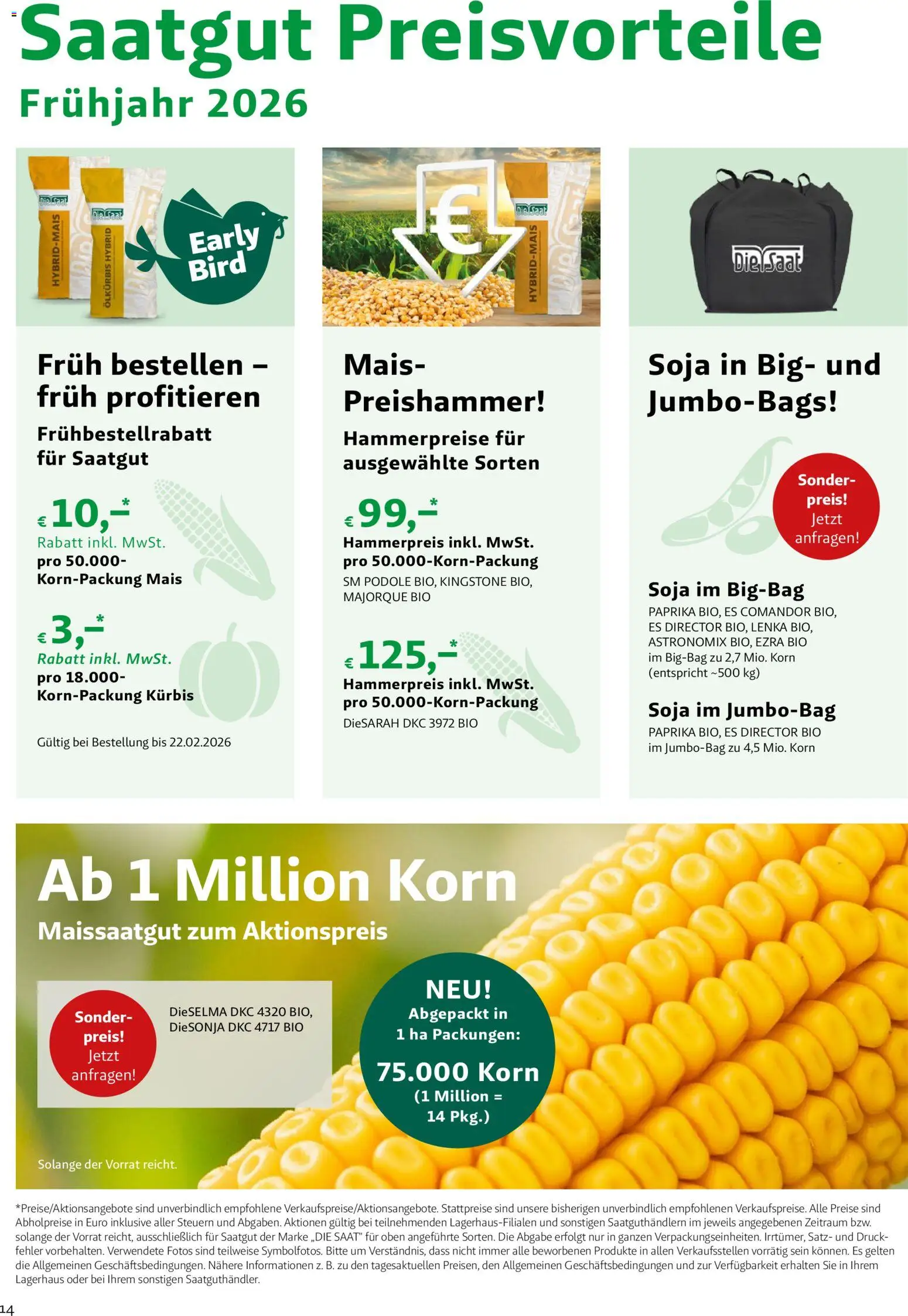 Lagerhaus - Frühjahr 2026 gültig ab 01.03.2026 | Seite: 14 | Produkte: Kürbis