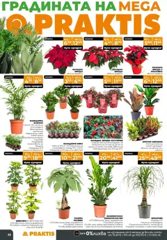 Преглед на Praktis брошура - Офертите са валидни от 15.12.2025 | Страница: 48