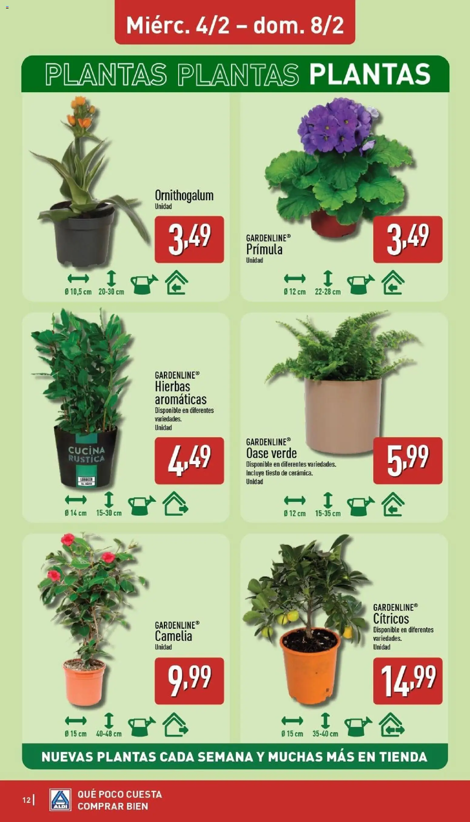 Aldi folleto Baleares │ válido desde el 02.02.2026 | Página: 12