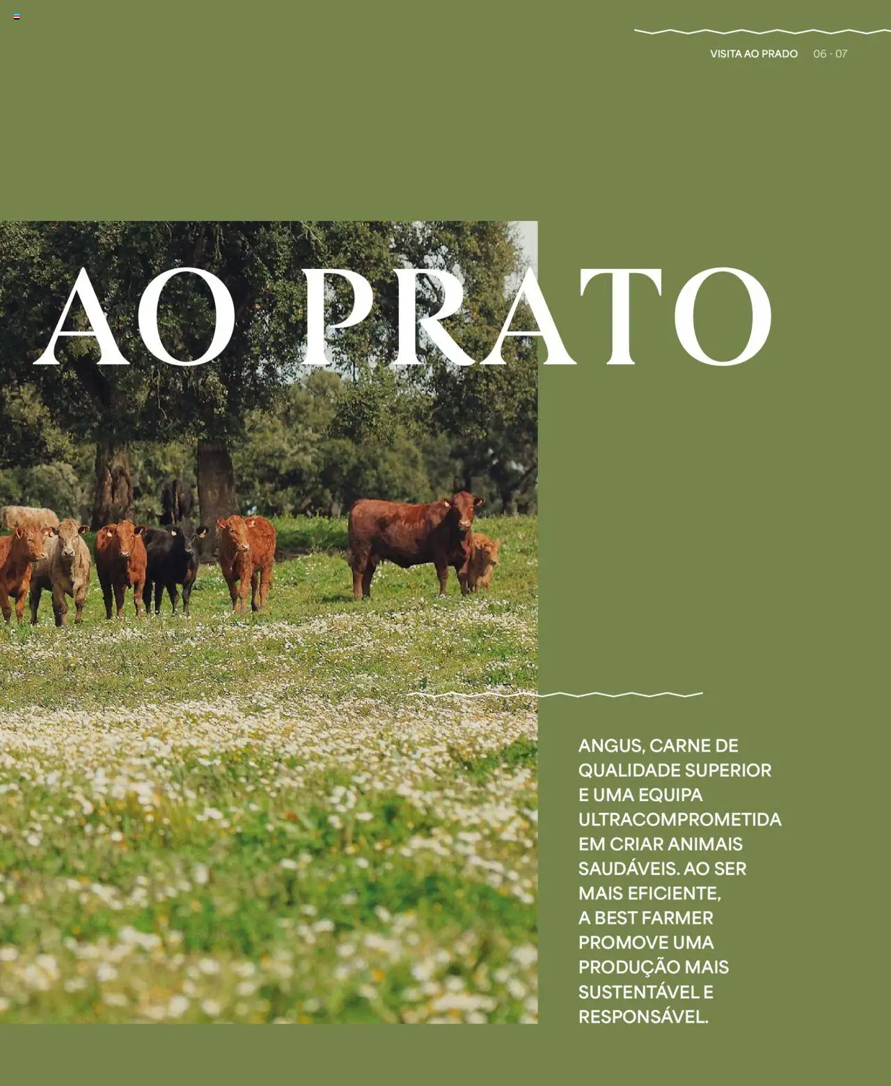Recheio folheto │ válido de 24.04.2025 | Página: 7 | Produtos: Carne