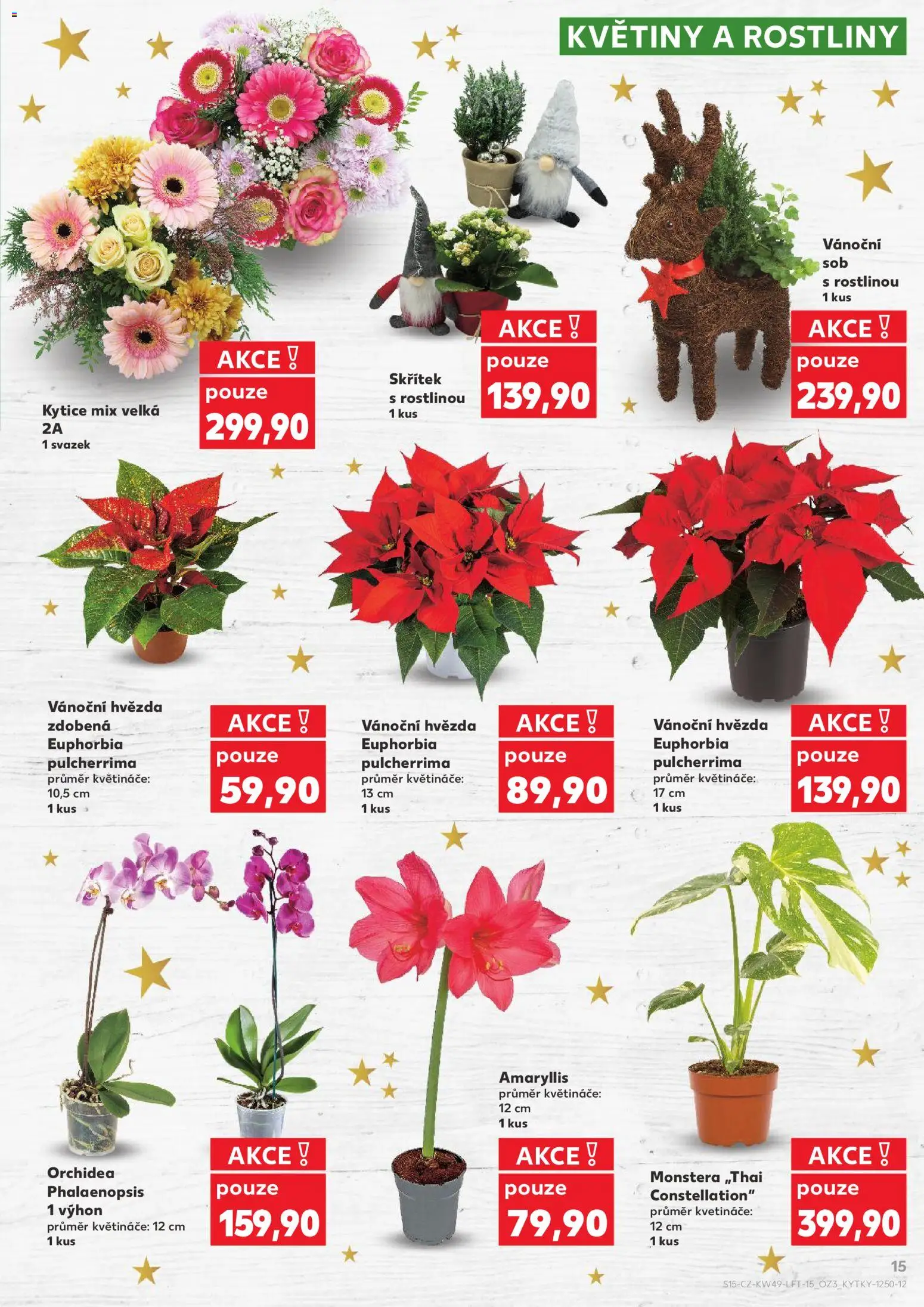 Kaufland leták - Praha 8 od 03.12.2025 | Strana: 15 | Produkty: Květináče, Rostliny, Kytice, Květiny