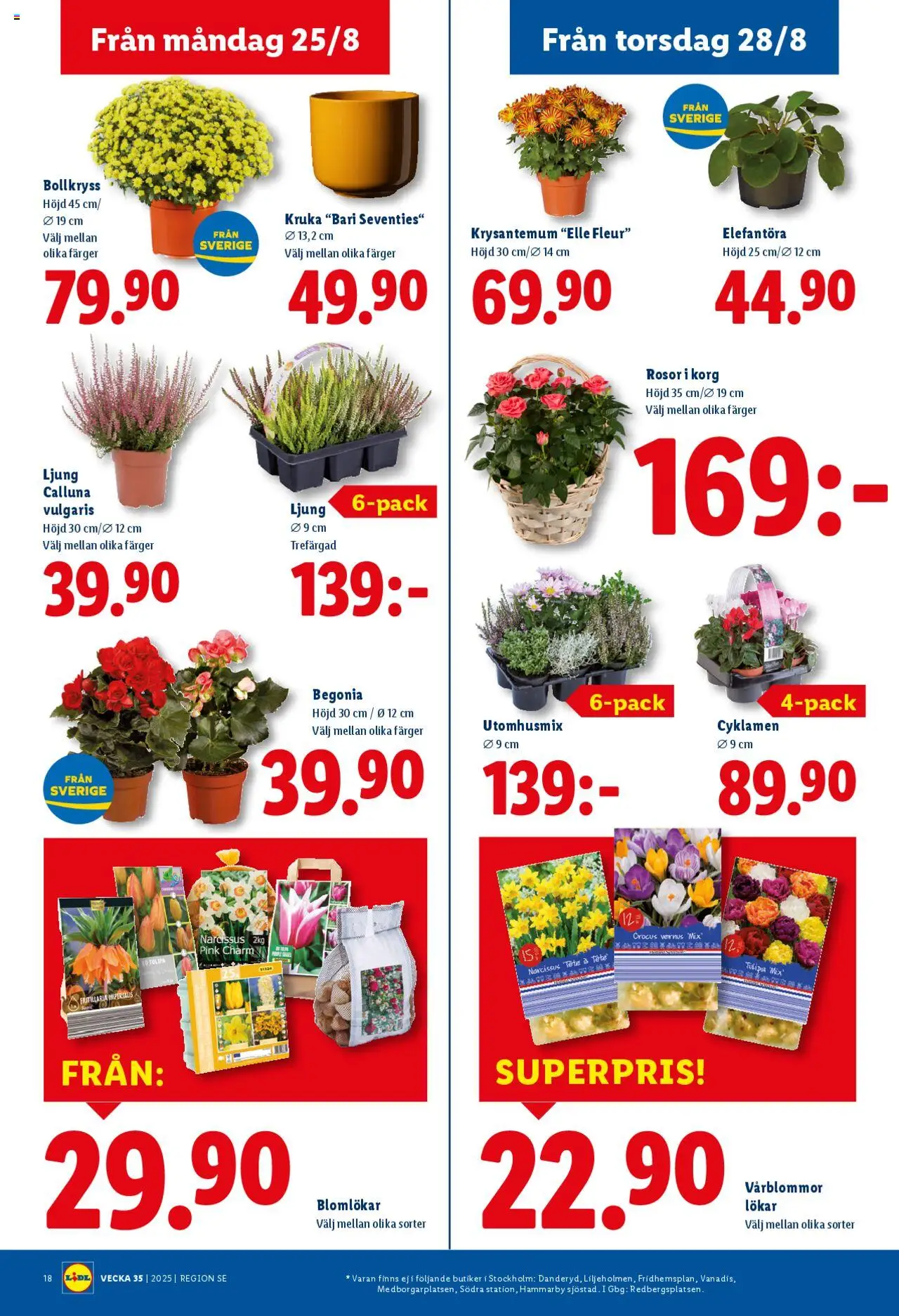 Lidl reklamblad aktuell från 25.08.2025 | Sida: 20 | Produkter: Kruka, Korg