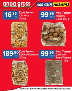31.03.2026 tarihinden itibaren geçerli olan Anpa Gross kataloğu önizlemesi