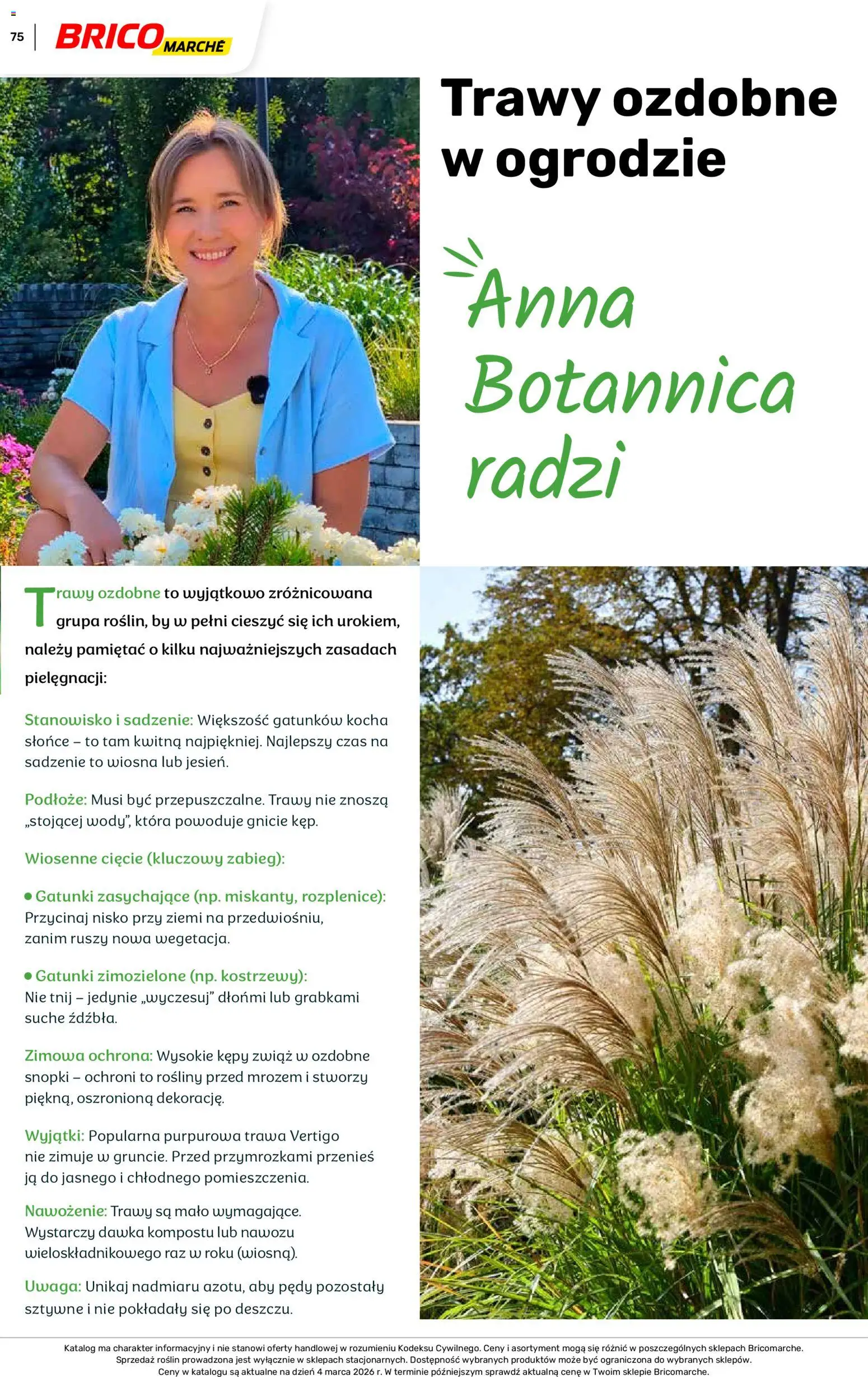 Brico Marché gazetka - Wiosna od 04.03.2026 | Strona: 75 | Produkty: Trawy, Rosliny