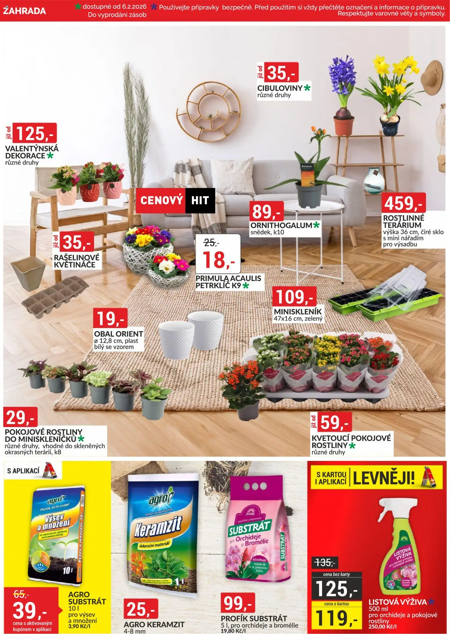 BAUMAX leták od 01.02.2026 | Strana: 42 | Produkty: Květináče, Zahrada, Substrát, Rostliny